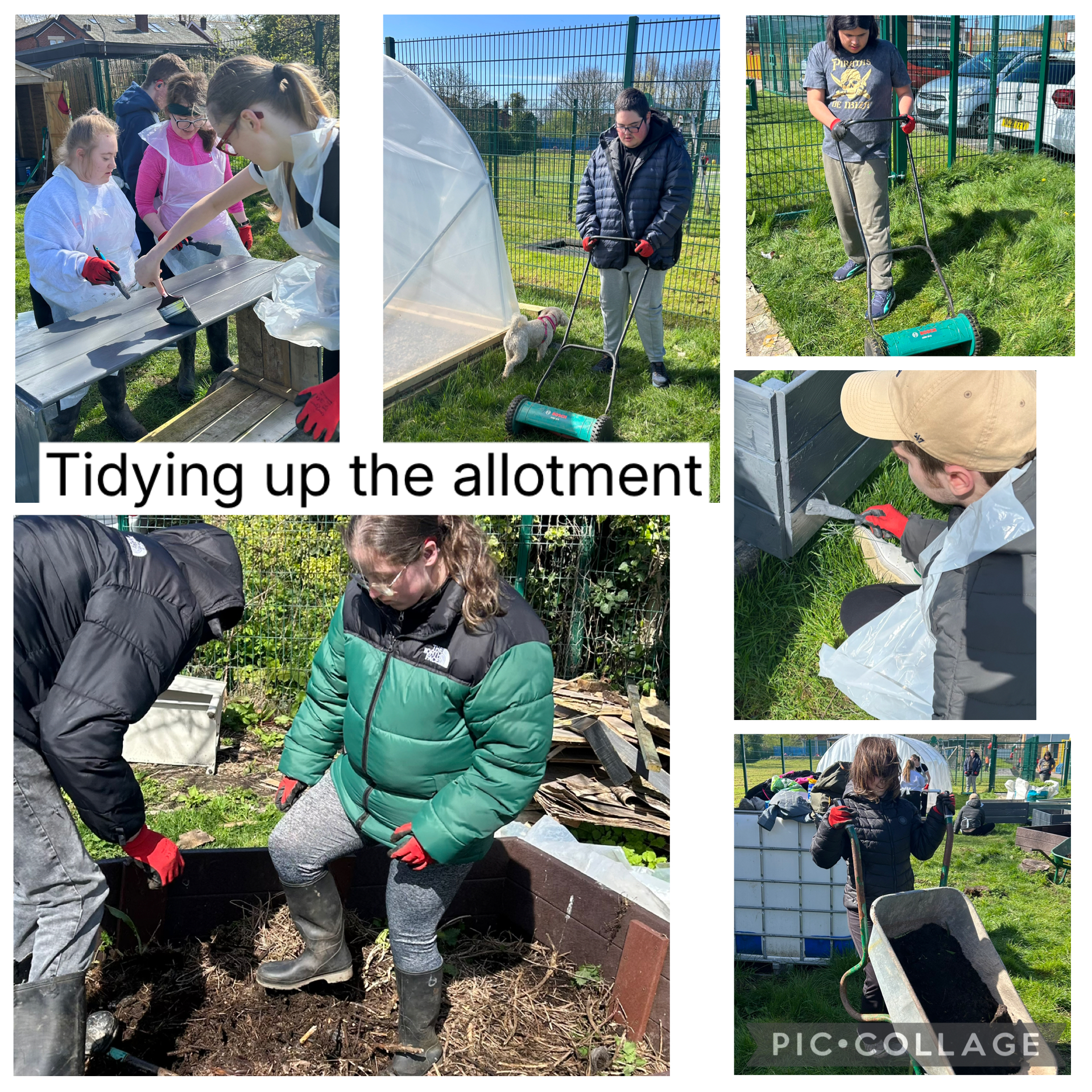Image of 5M at the allotment 