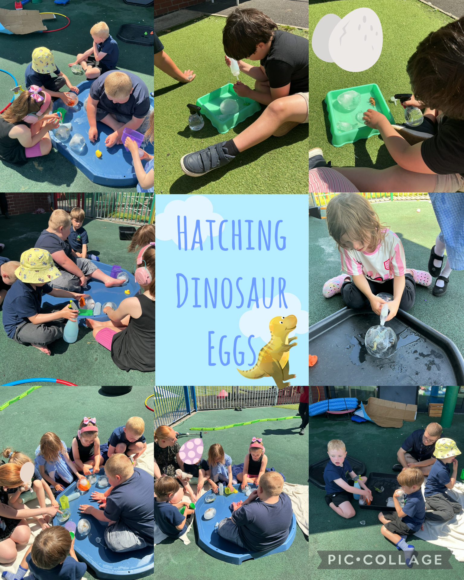 Image of Dinosaur eggs 