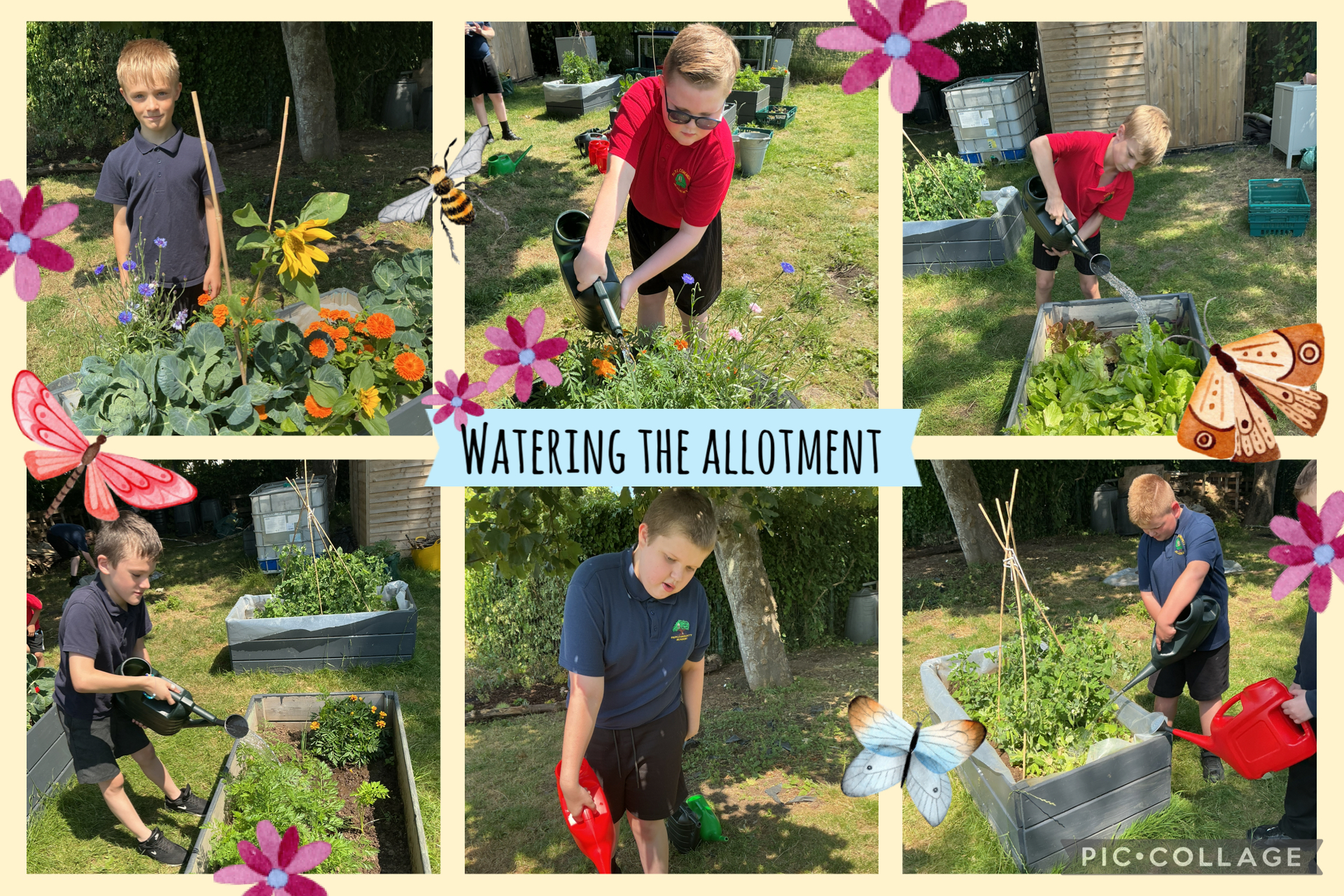 Image of Watering the allotment 
