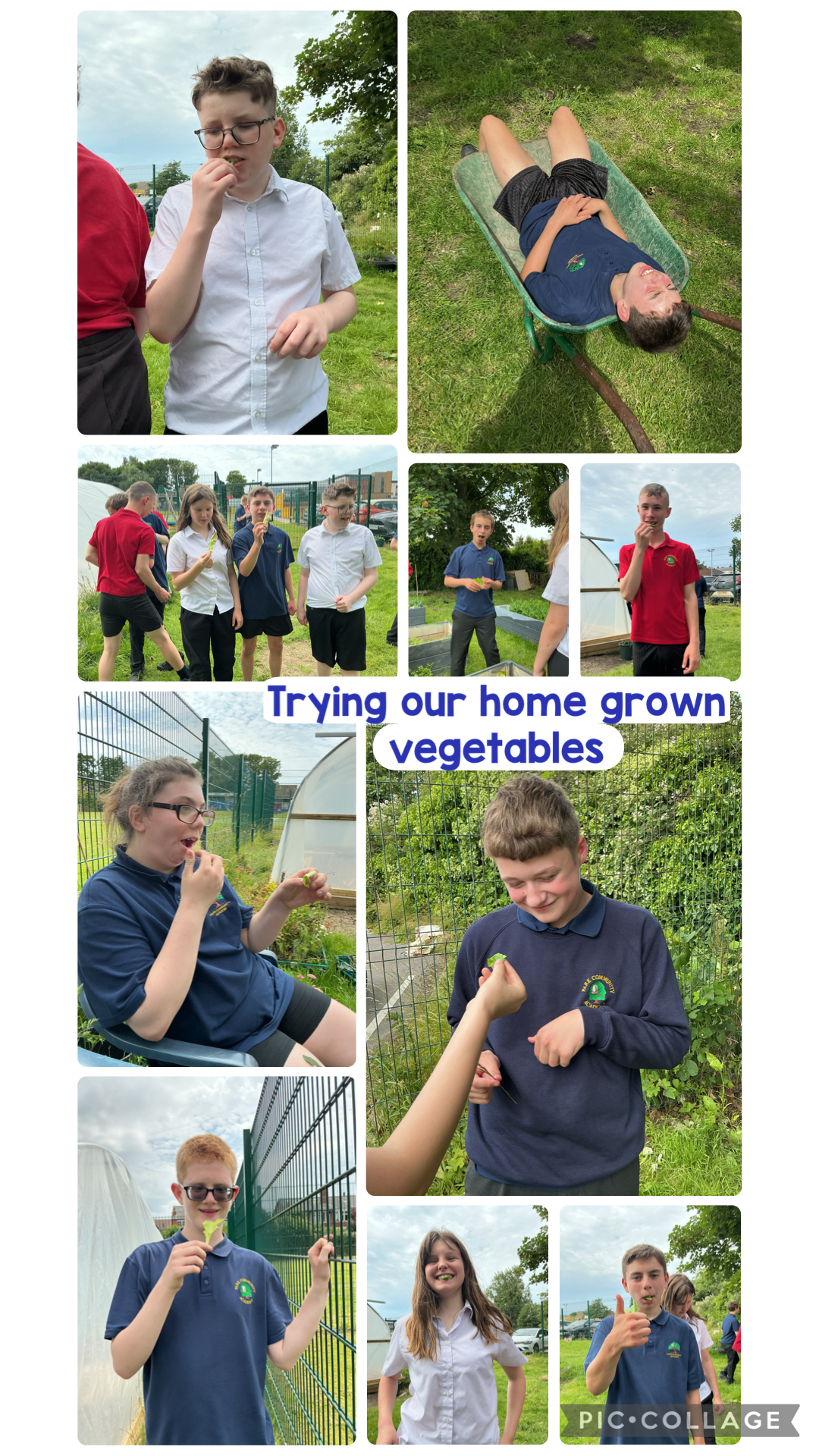 Image of Trying homegrown vegetables 