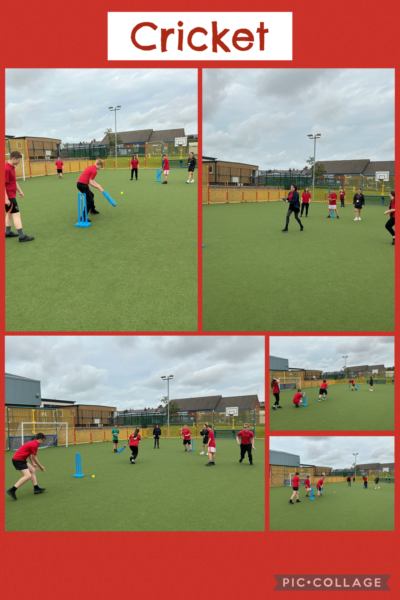 Image of Playing Cricket