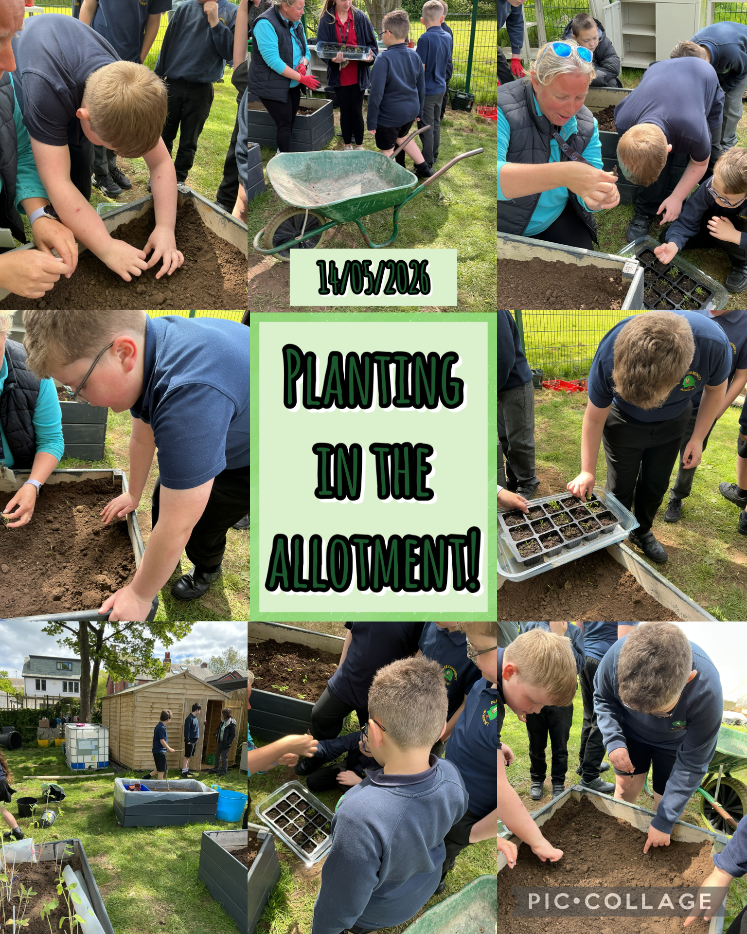 Image of Planting seeds!