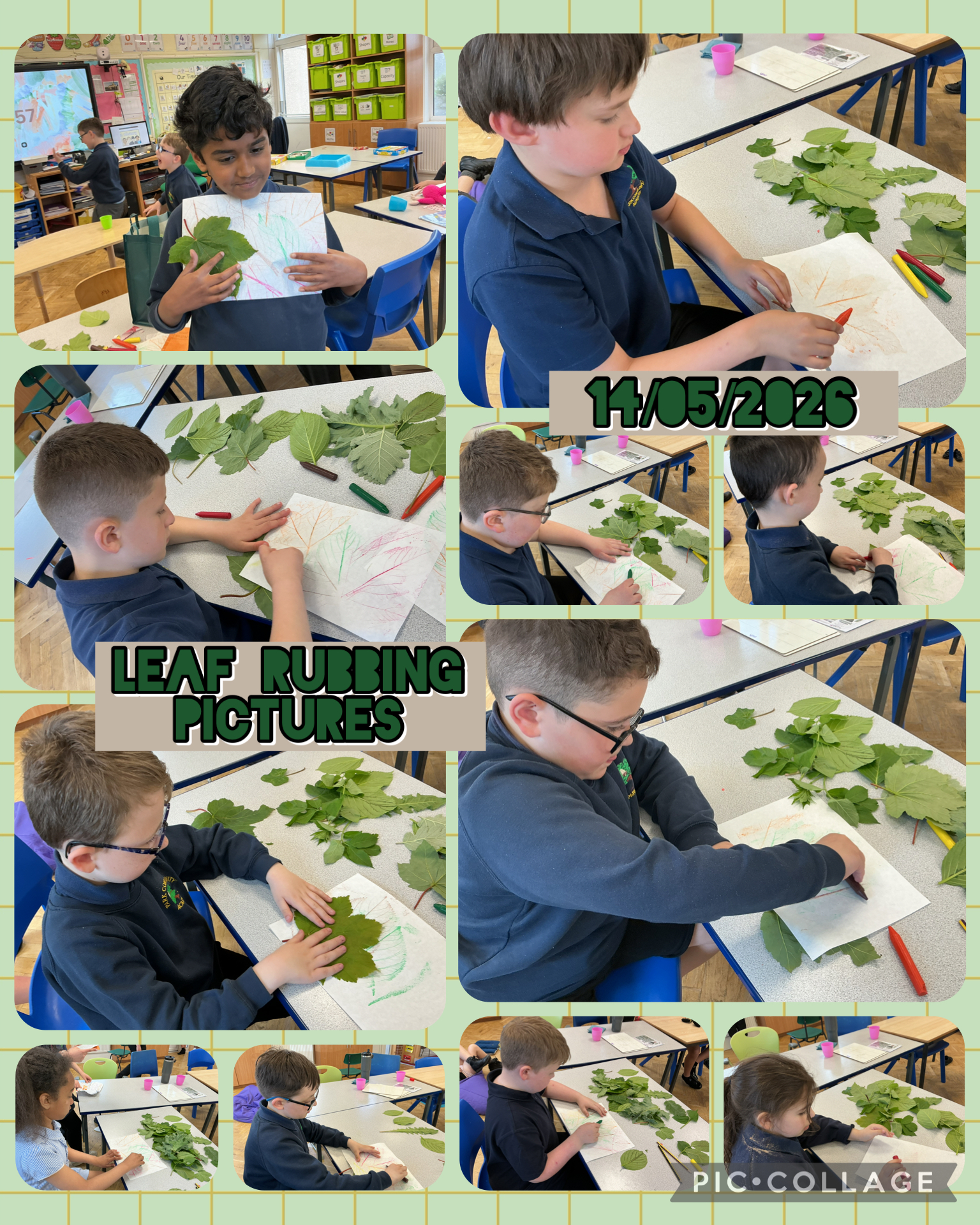 Image of Leaf Rubbing!