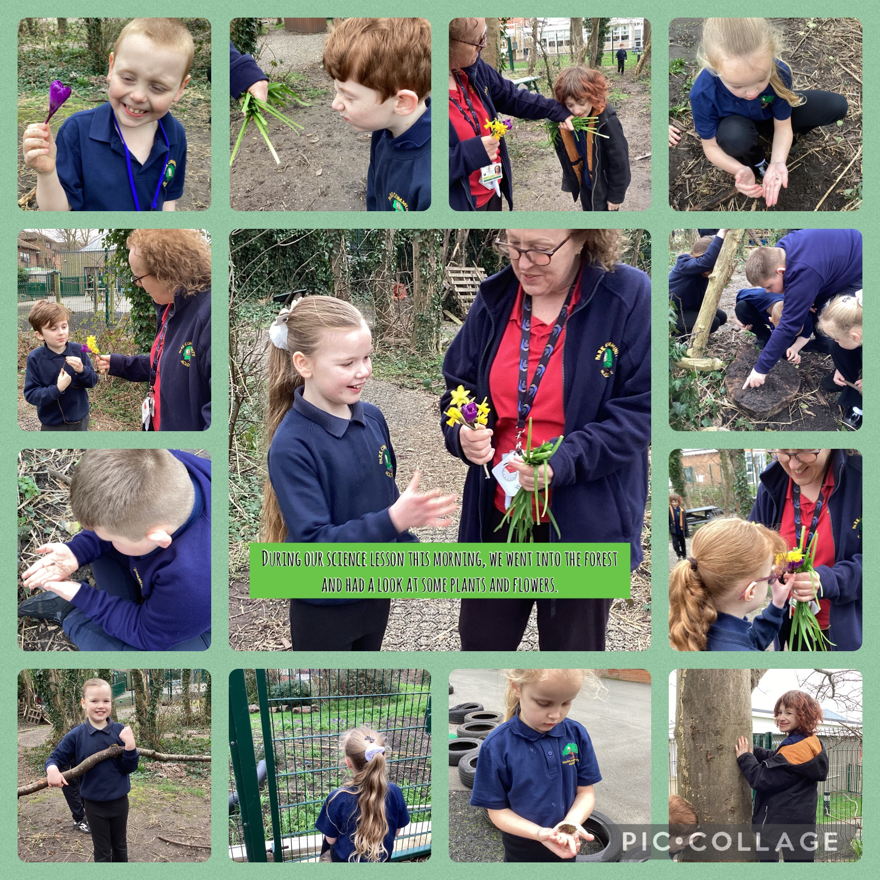 Image of Science Spring search