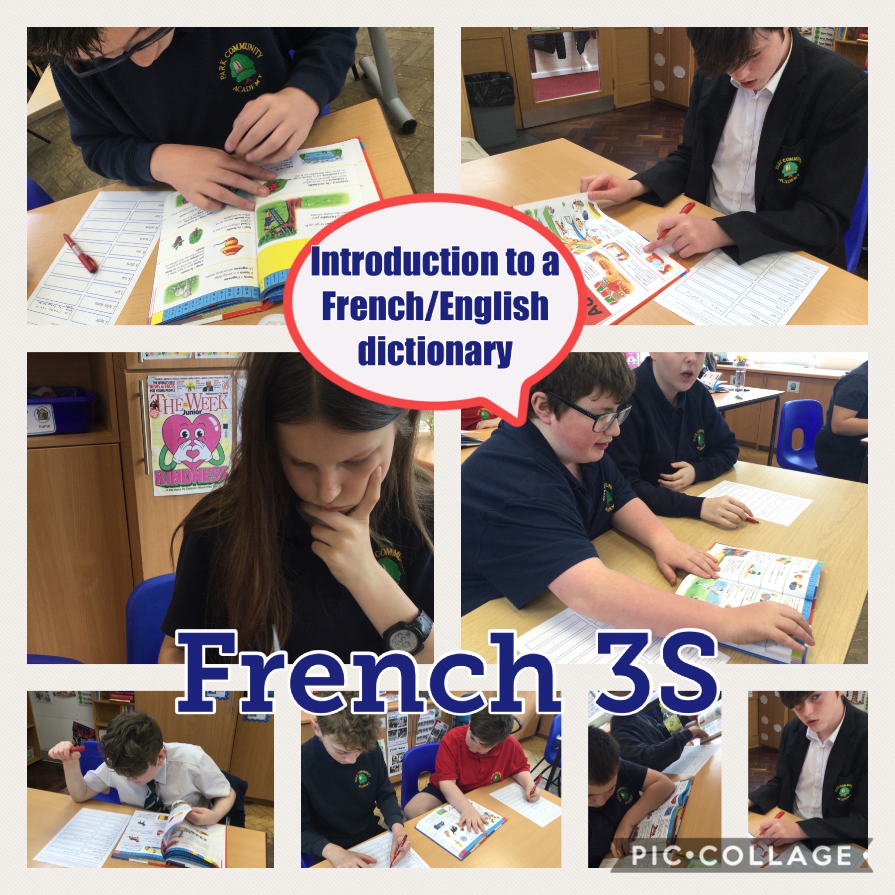 Image of Using a French - English dictionary