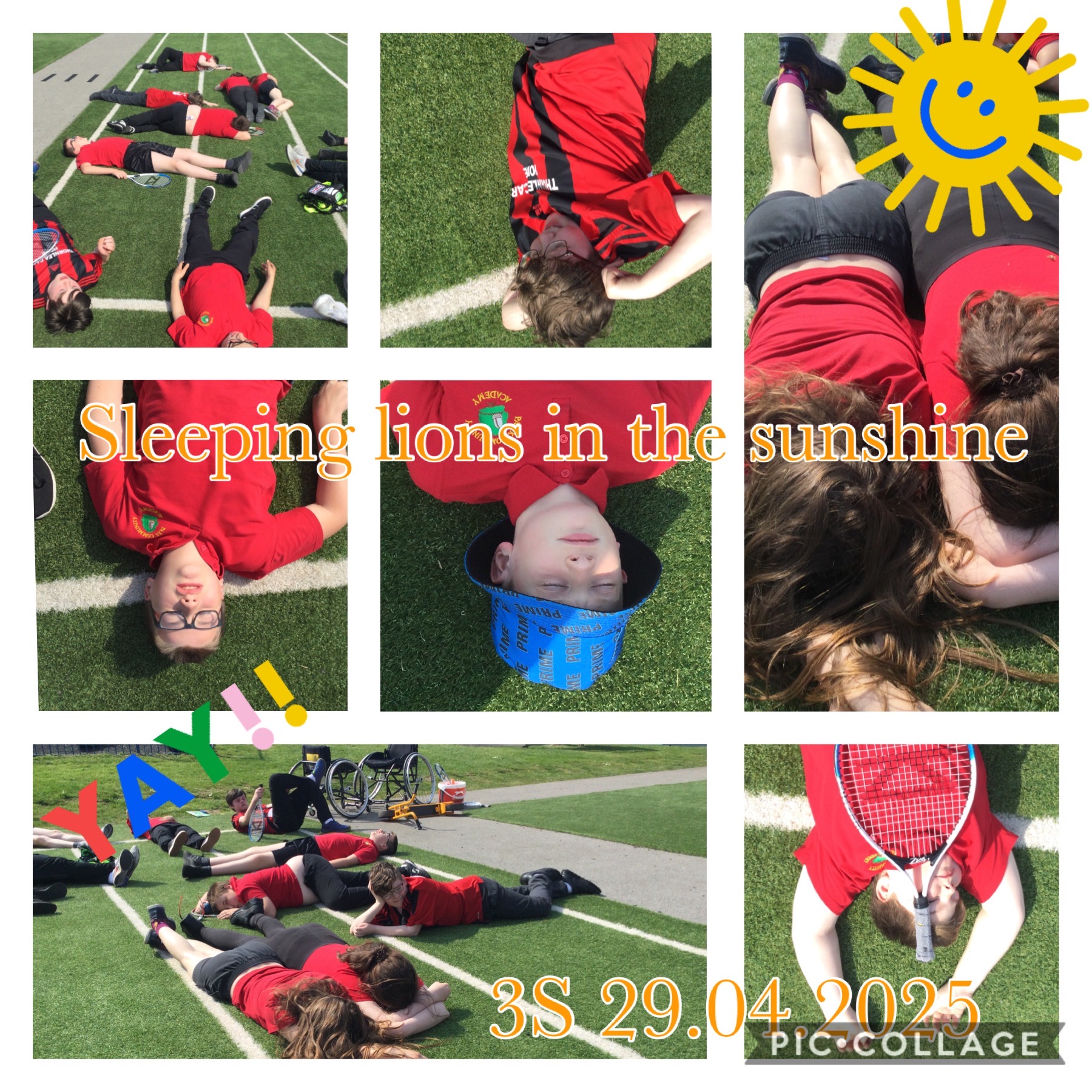 Image of Sleeping lions in the sunshine