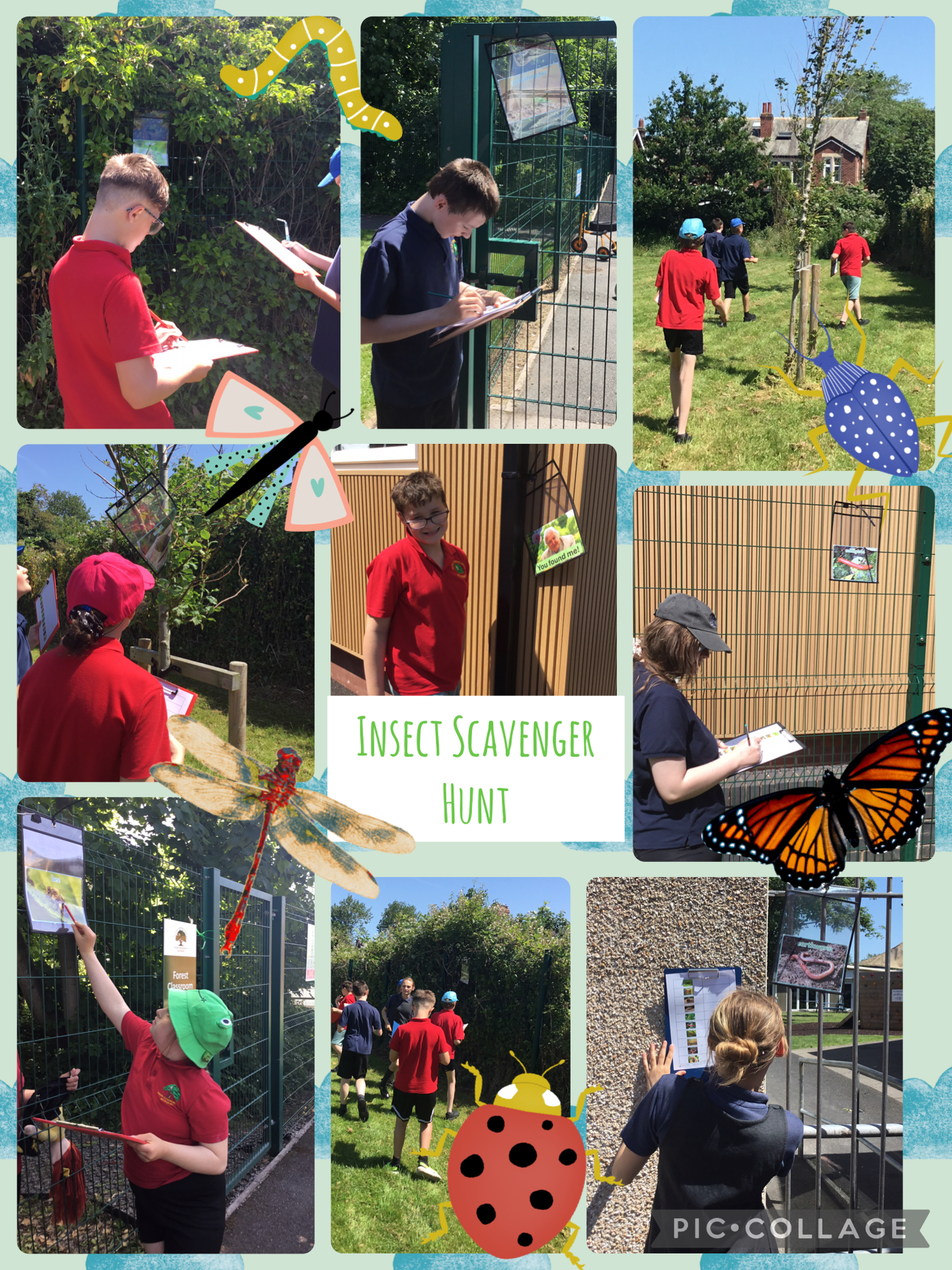 Image of Insect Scavenger Hunt