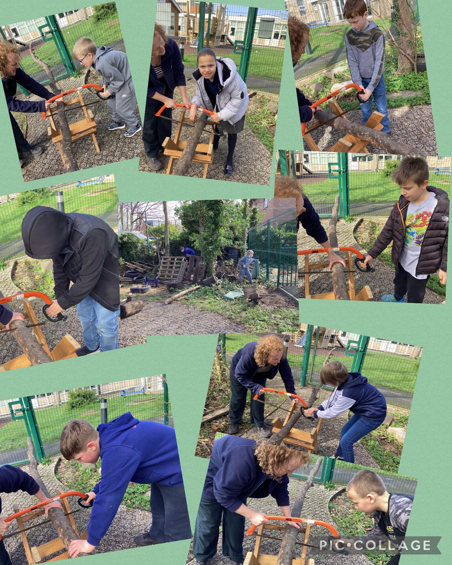 Image of Sawing in Forest school