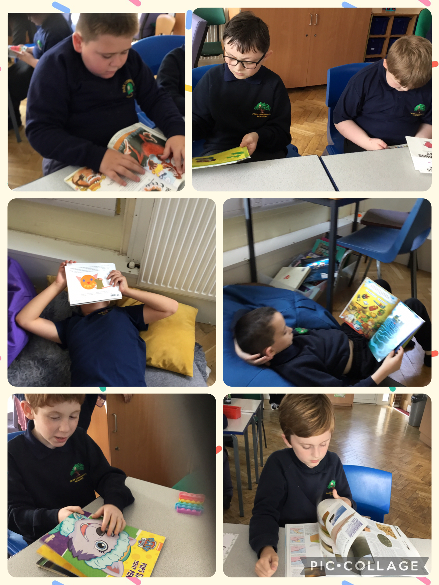 Image of Reading