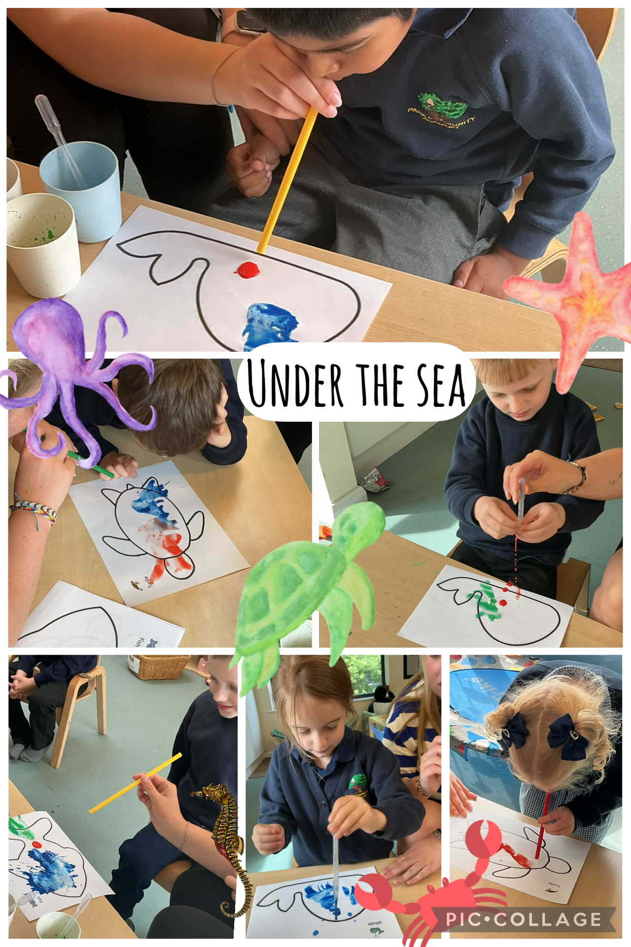 Image of Under the sea