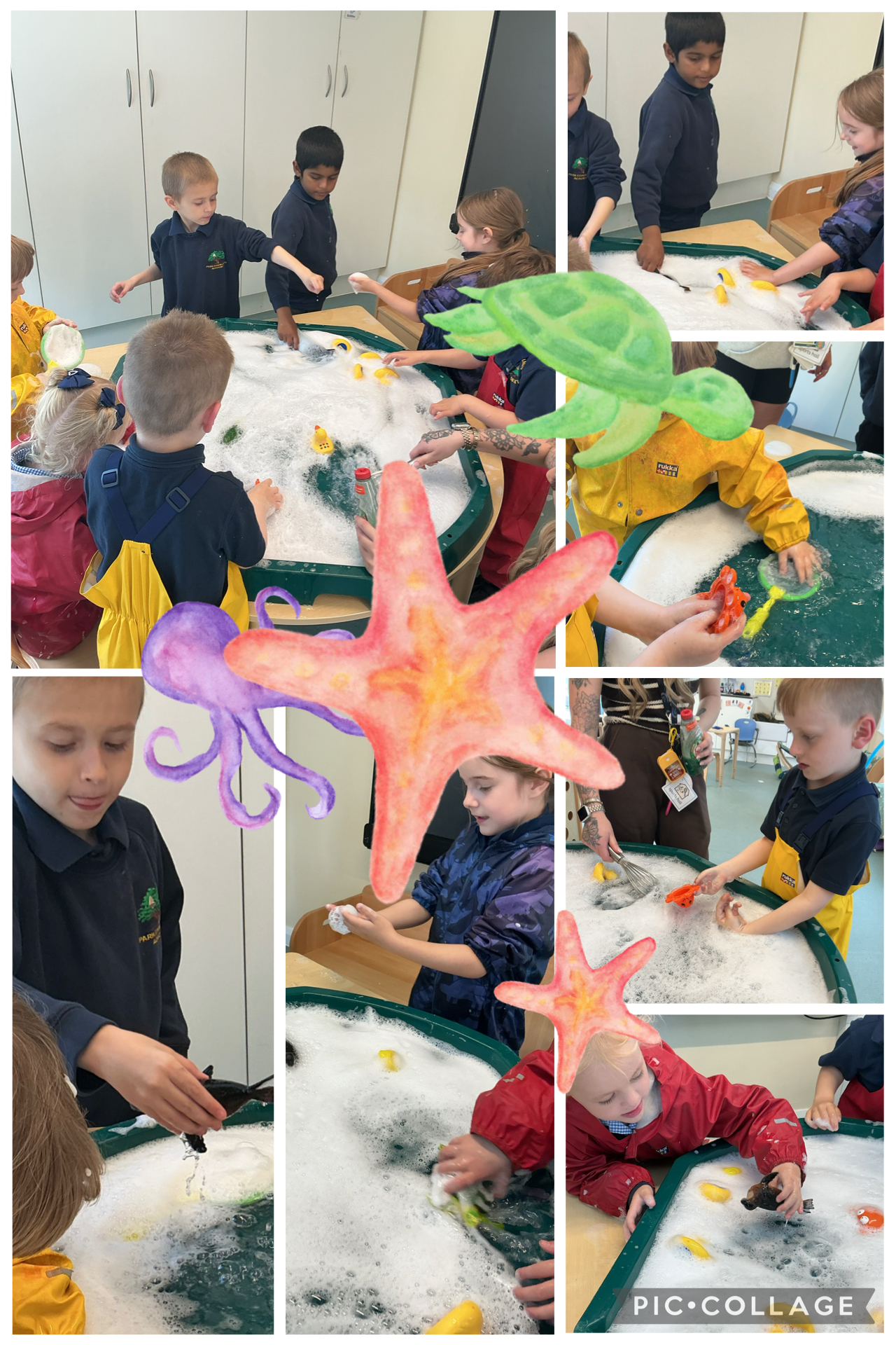 Image of Shark, starfish and lots of other sea creatures