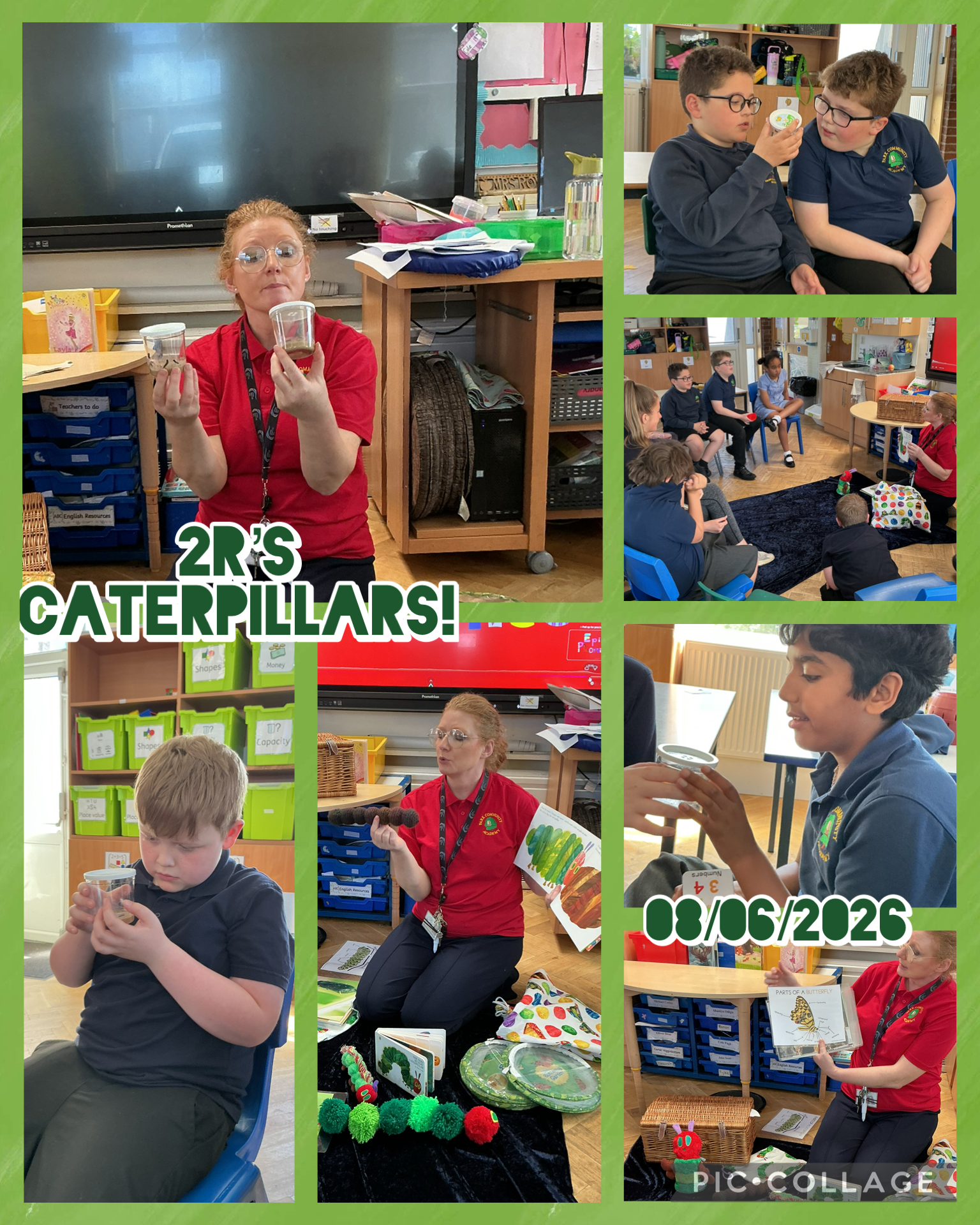Image of 2R’s new caterpillars!