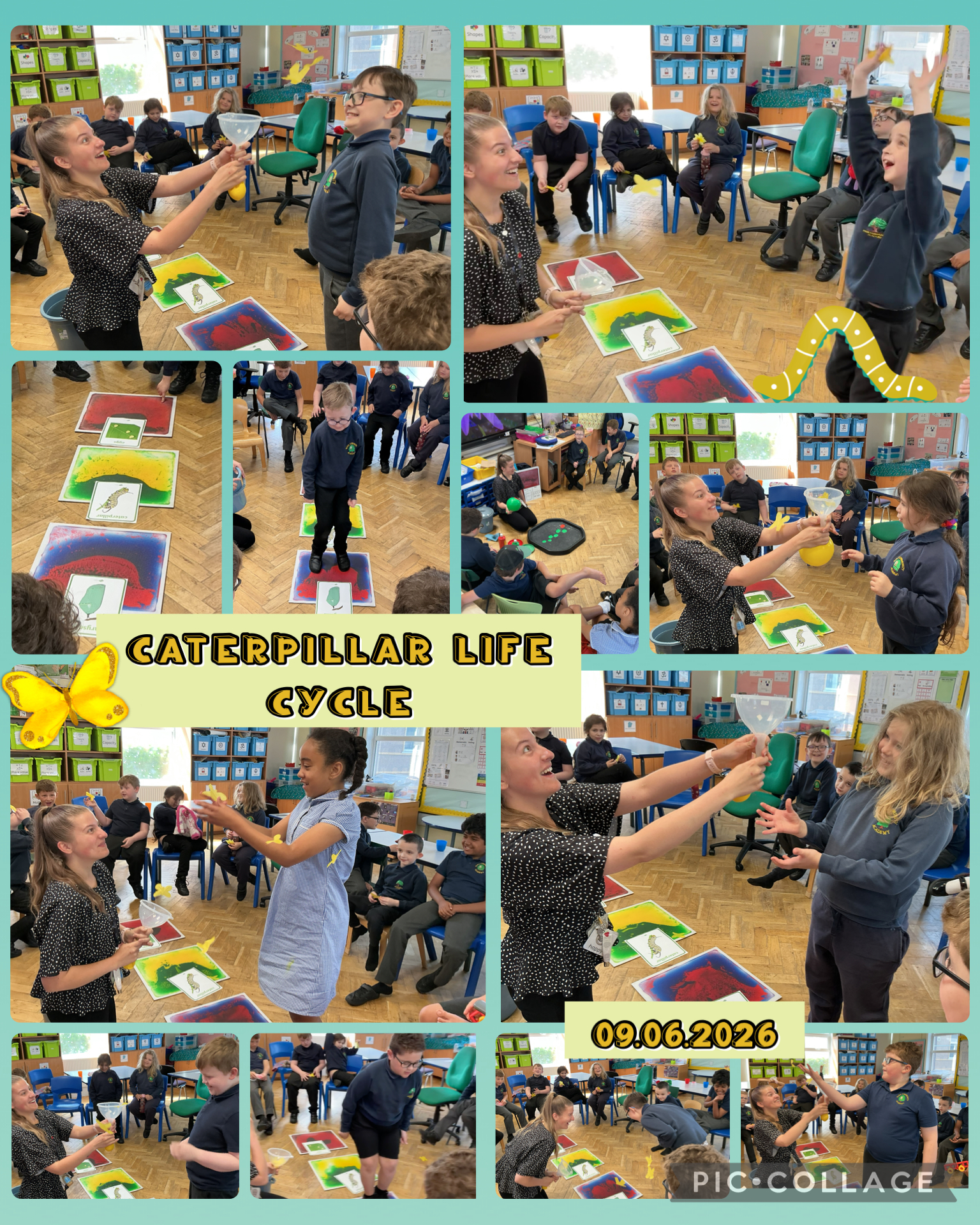 Image of Caterpillar Life Cycle!