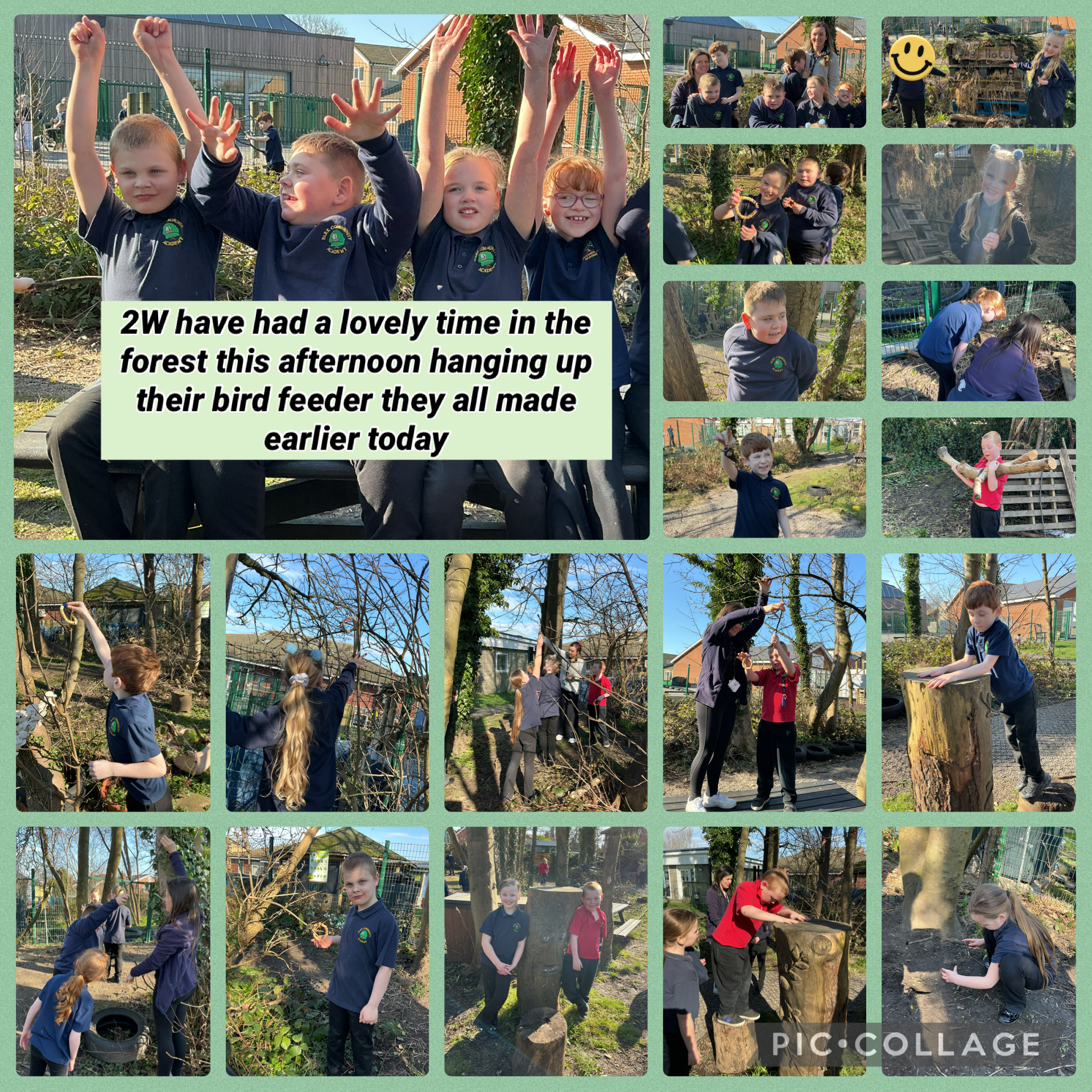 Image of A sunny afternoon in the forest