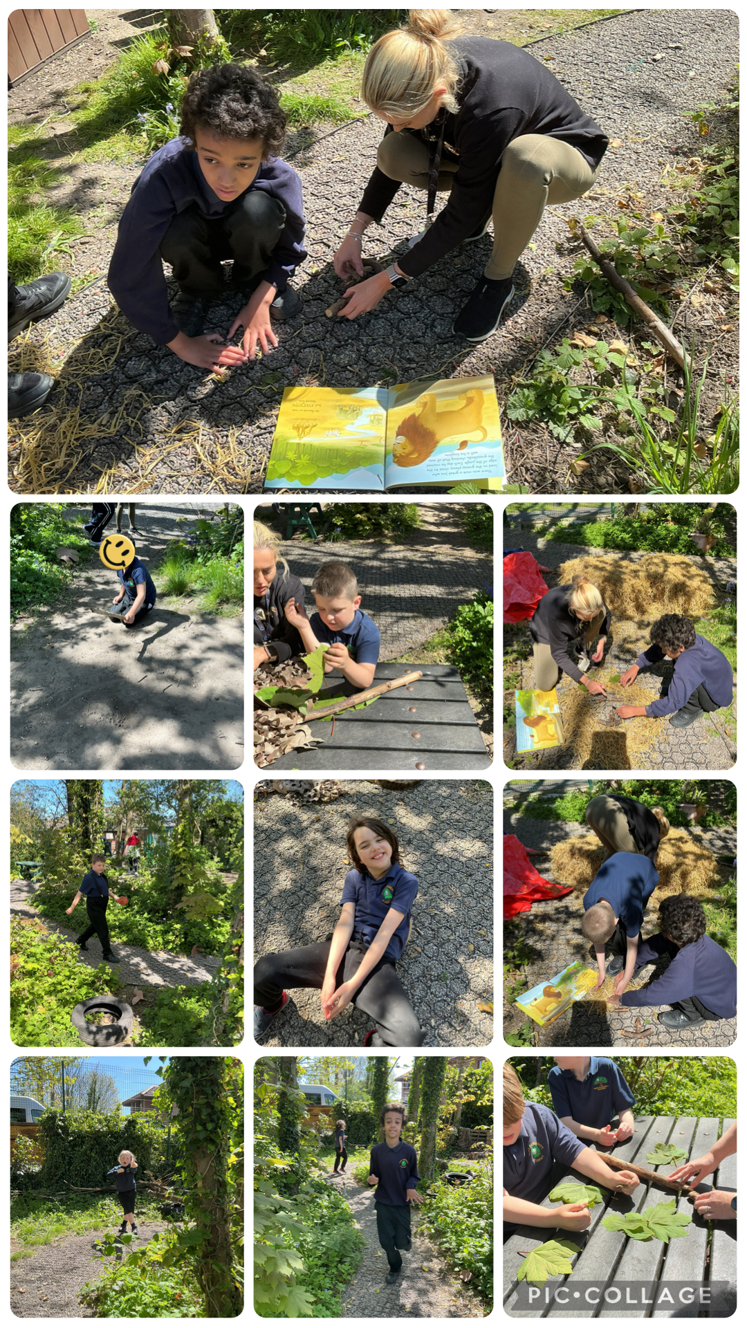 Image of Forest School