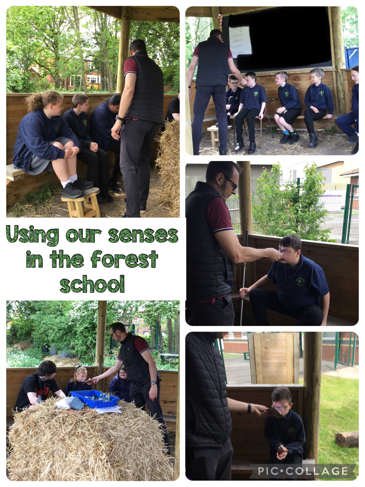 Image of Using our senses in the Forest School 