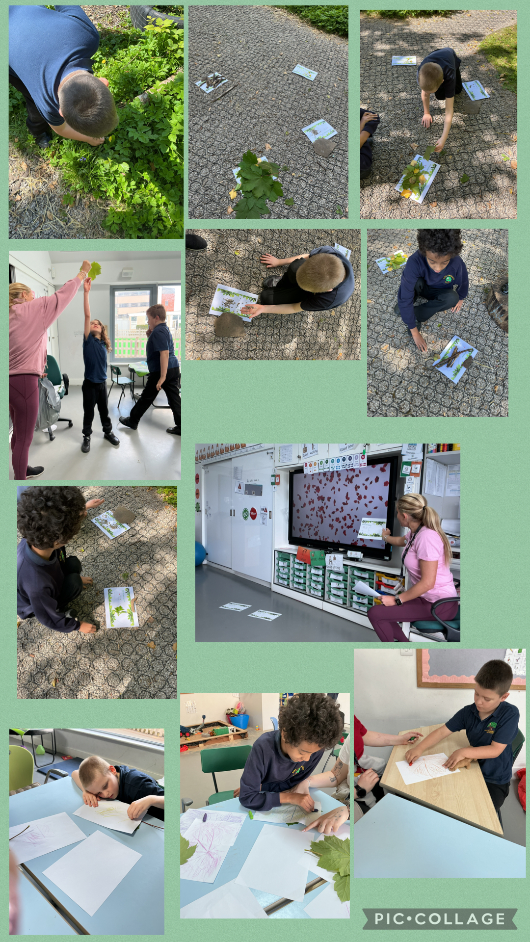 Image of Creating art with natural materials 