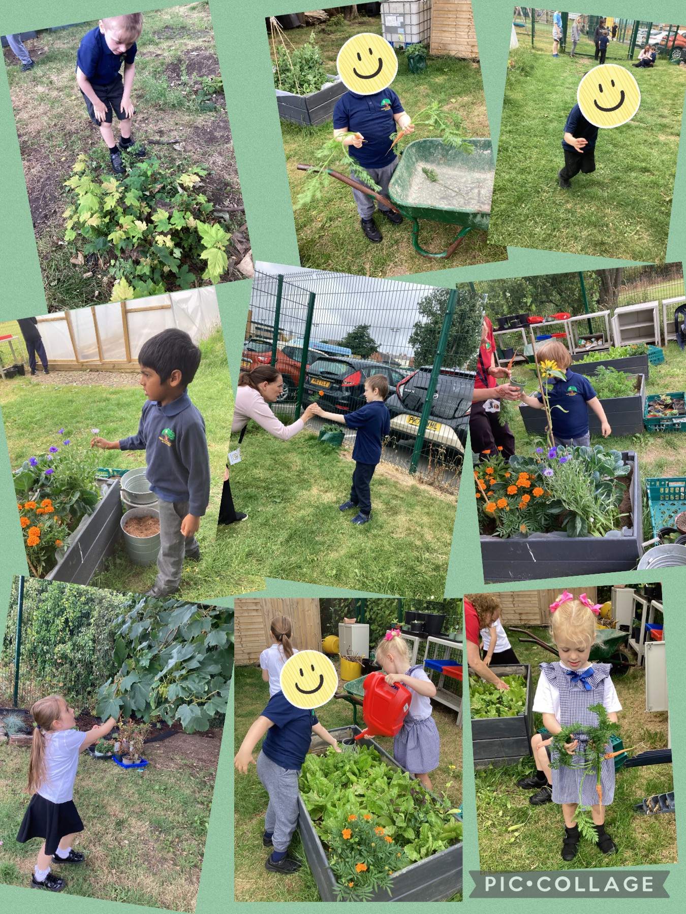 Image of 1H exploring in our allotment