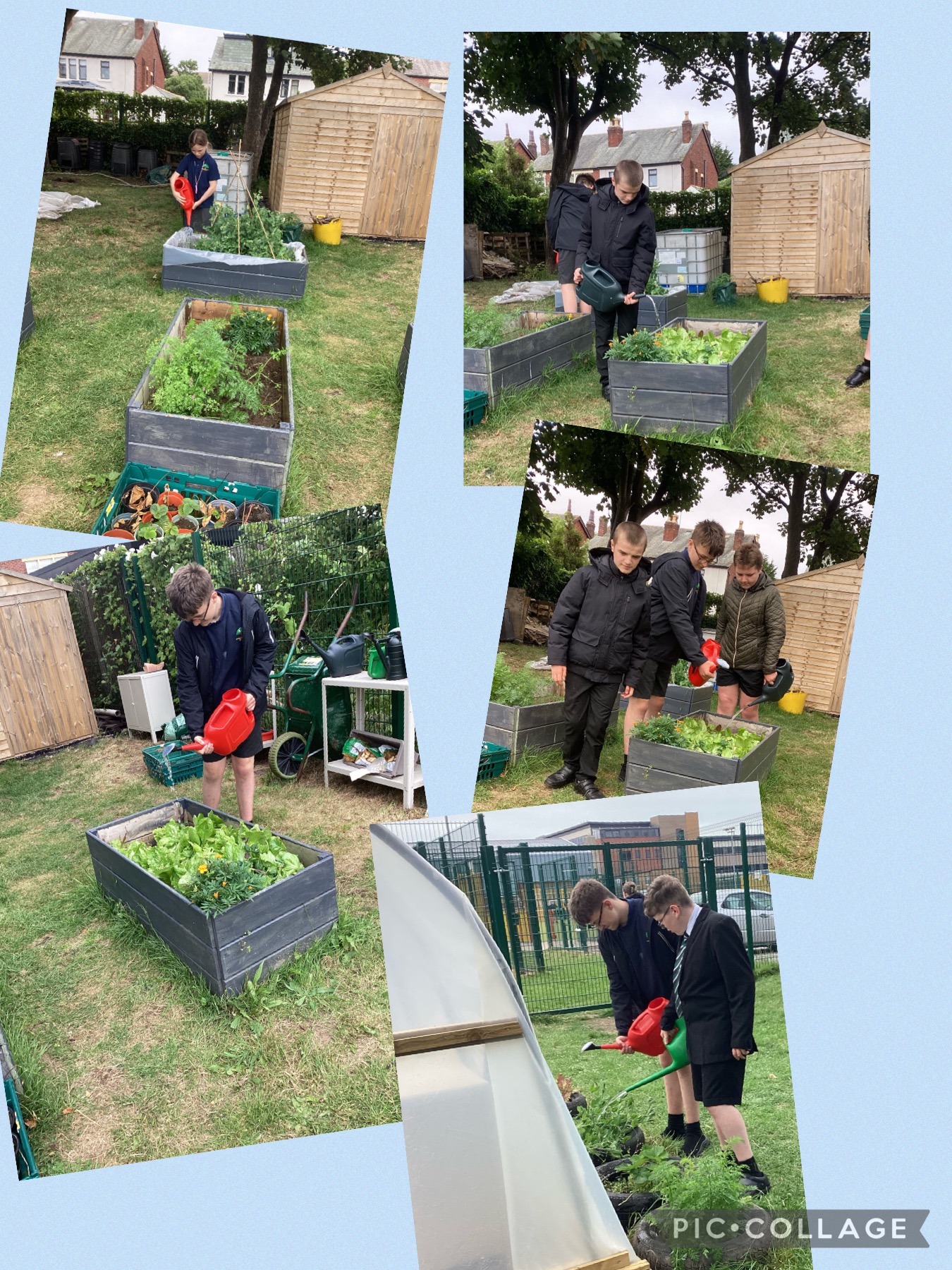Image of Last gardening club