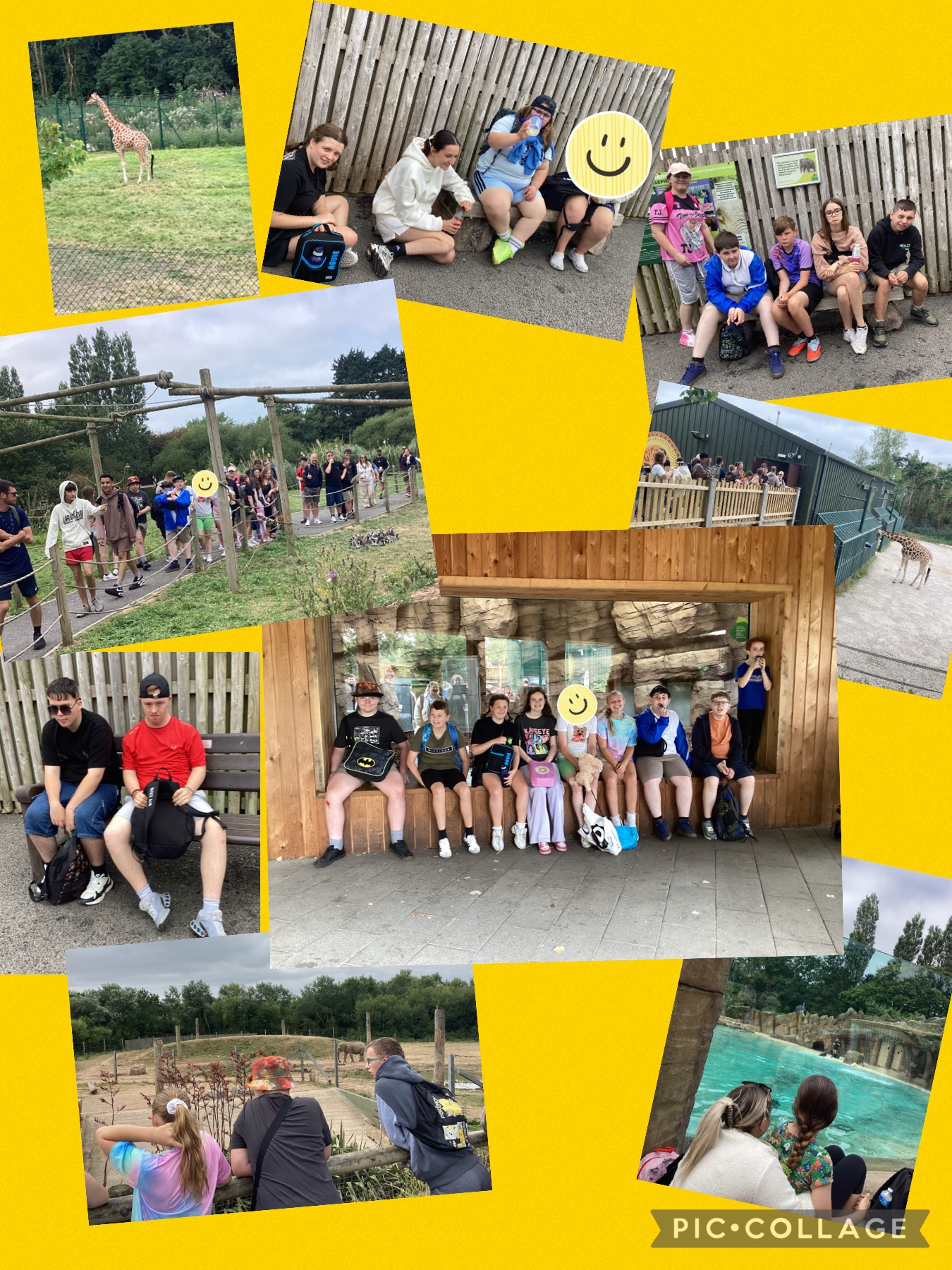 Image of Summer scheme