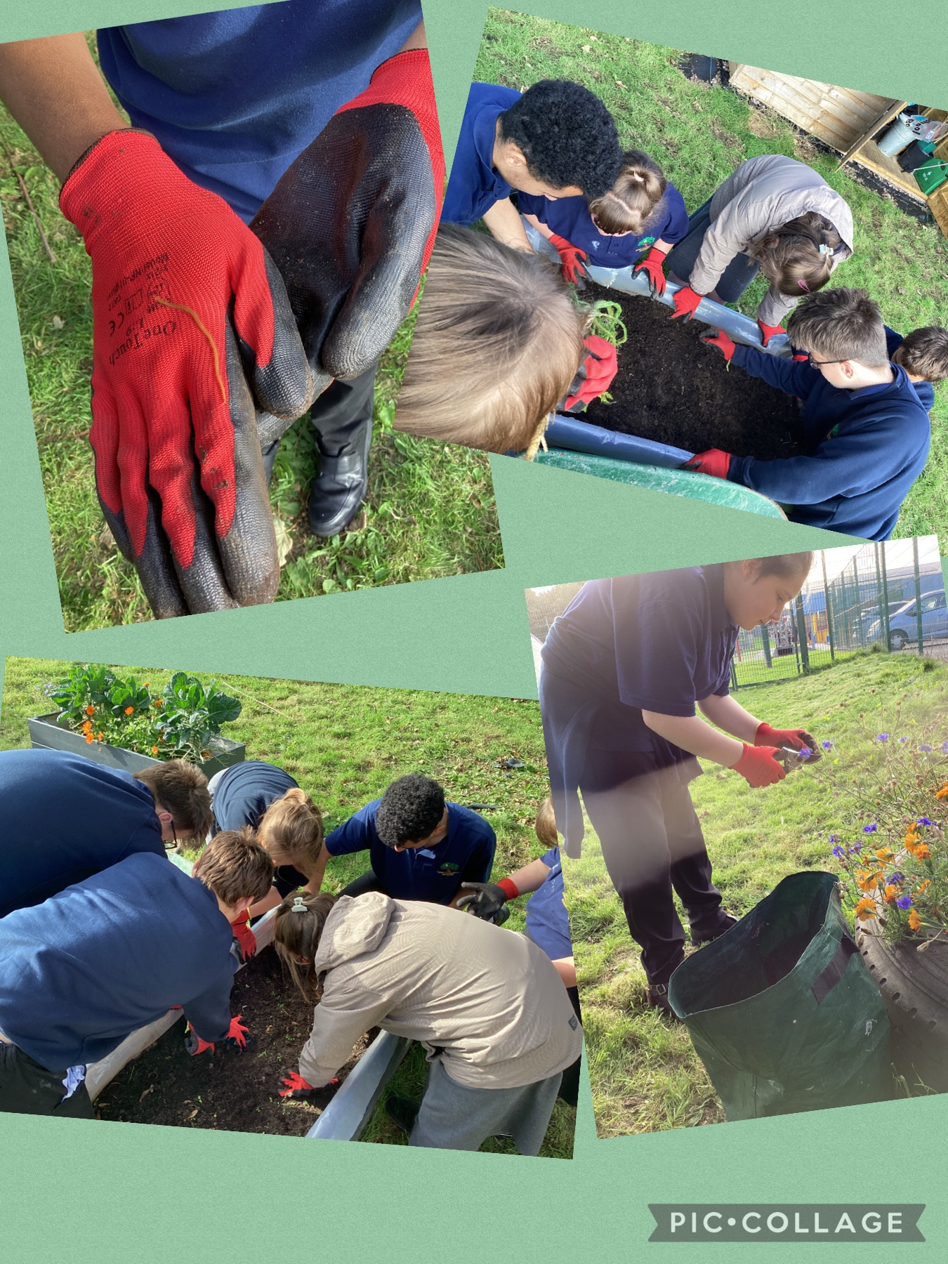 Image of Gardening Club