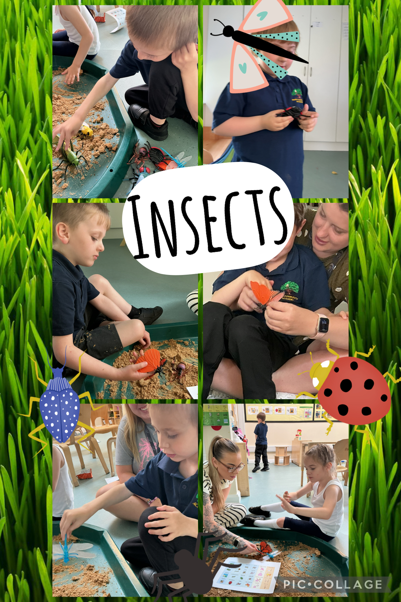 Image of Insect investigators 