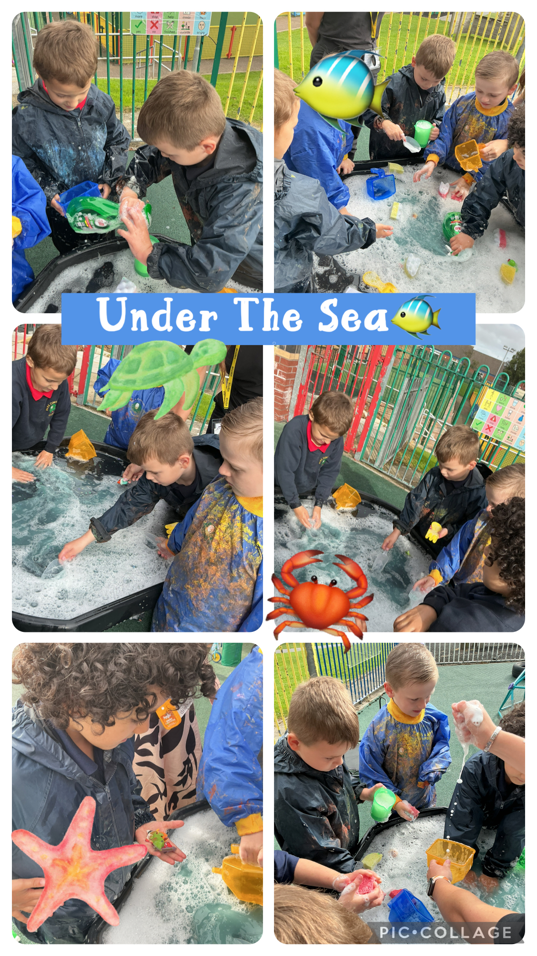 Image of Under the Sea🐠