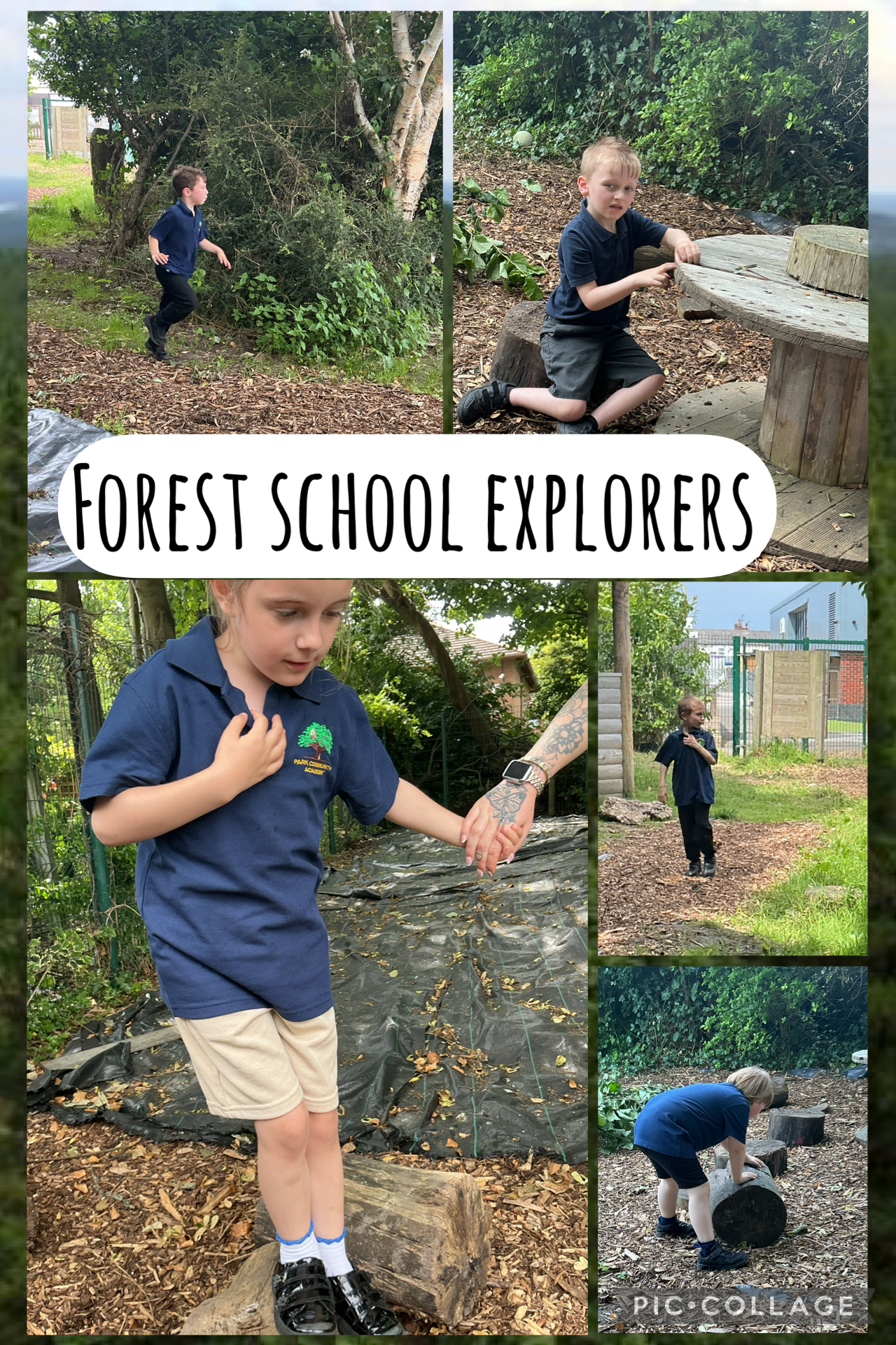 Image of Exploring the forest