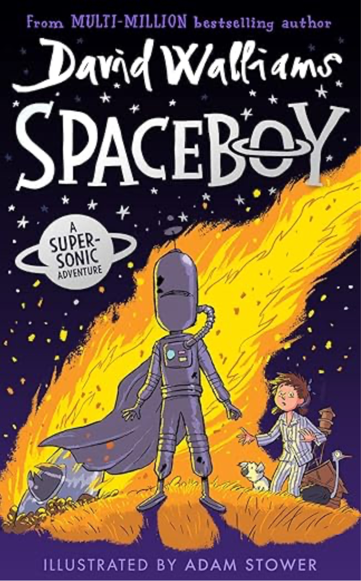 Image of Our class novel 