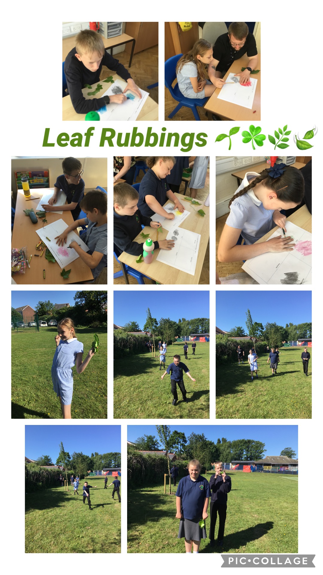 Image of Leaf Rubbings !