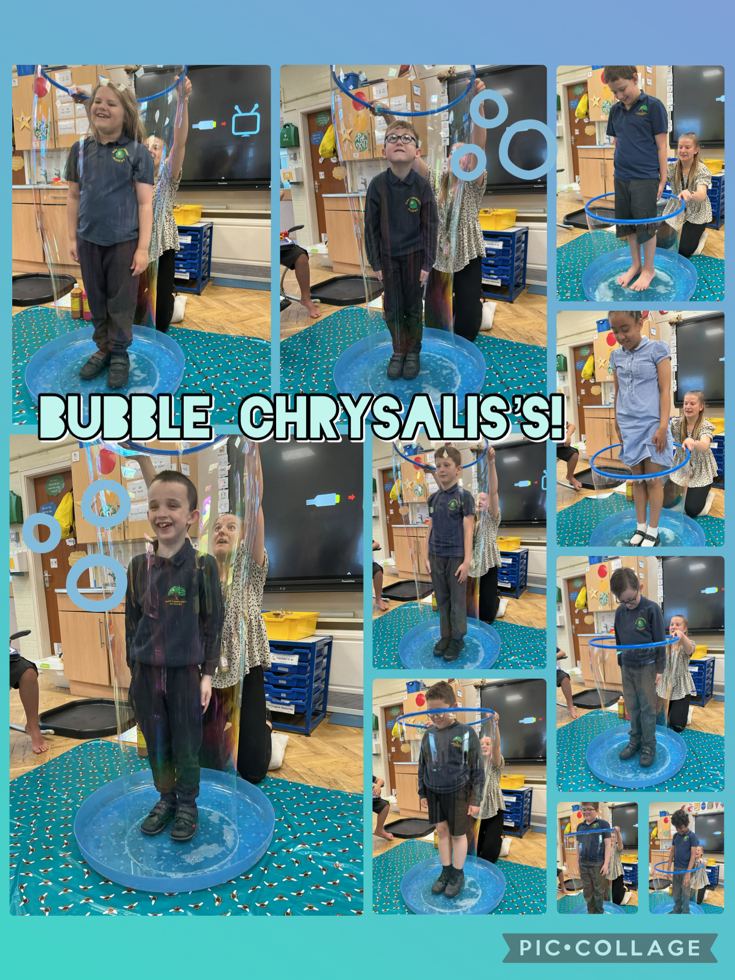 Image of Bubble Chrysalis’s!