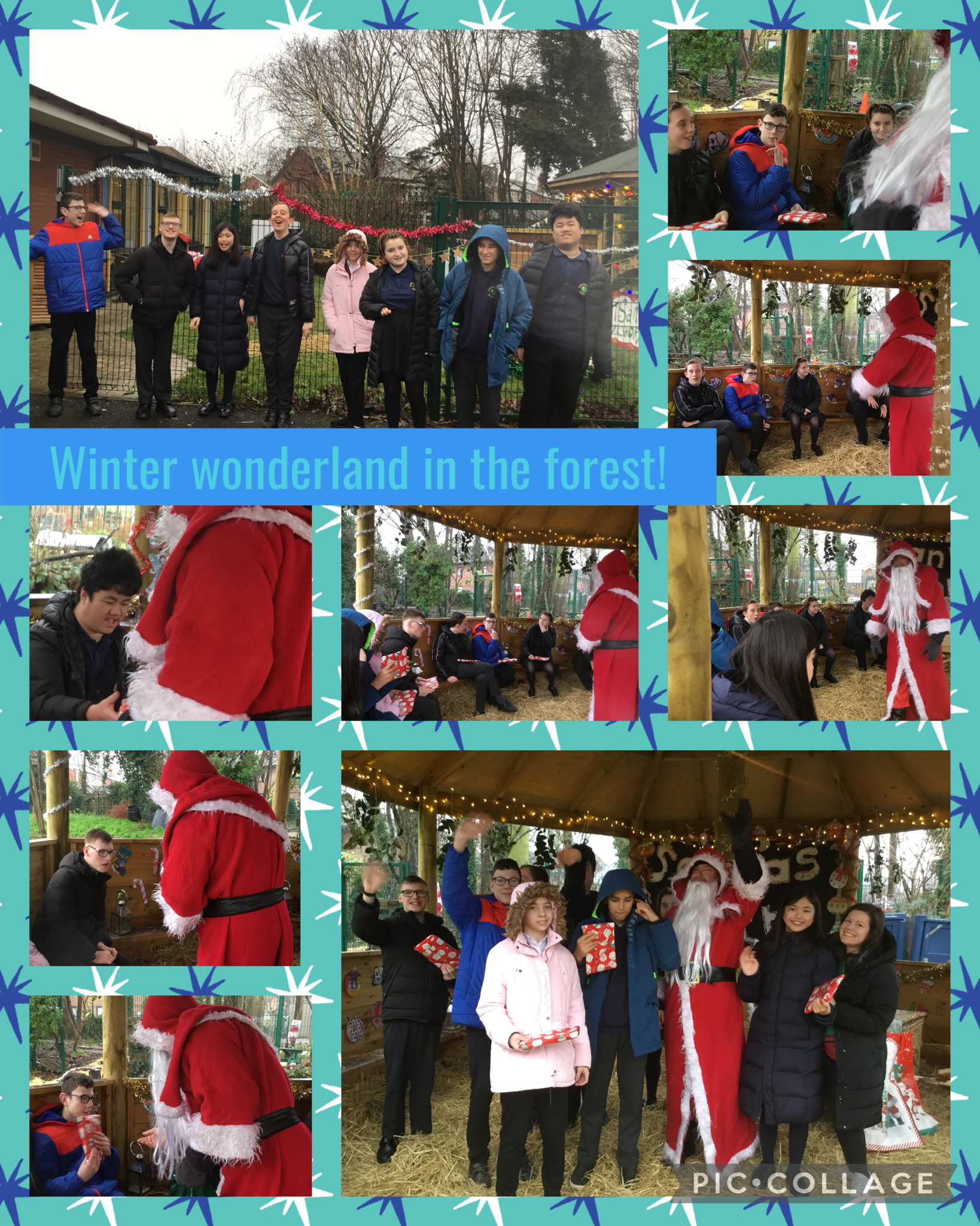 Image of Winter wonderland