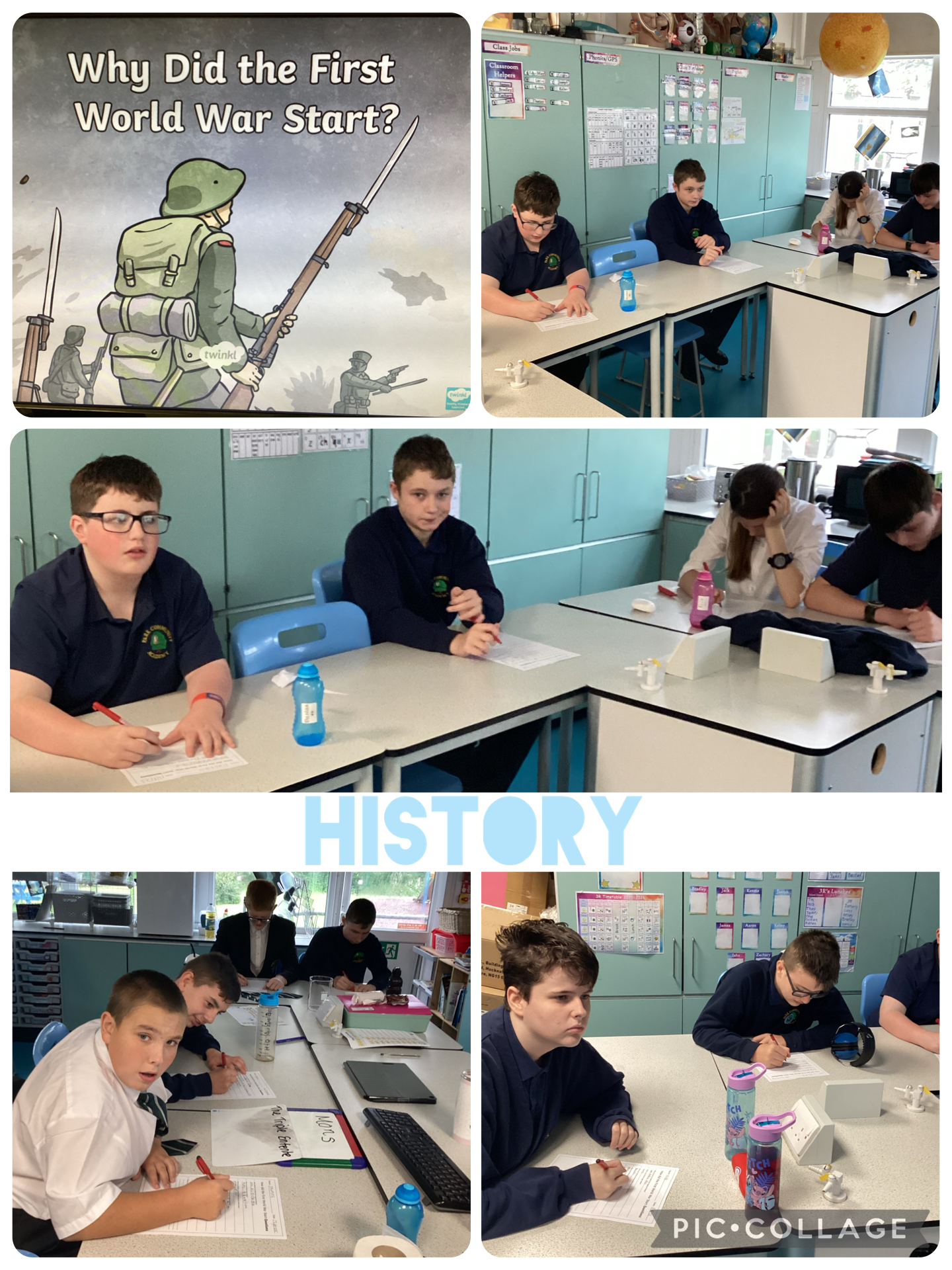 Image of The origins of World War 1