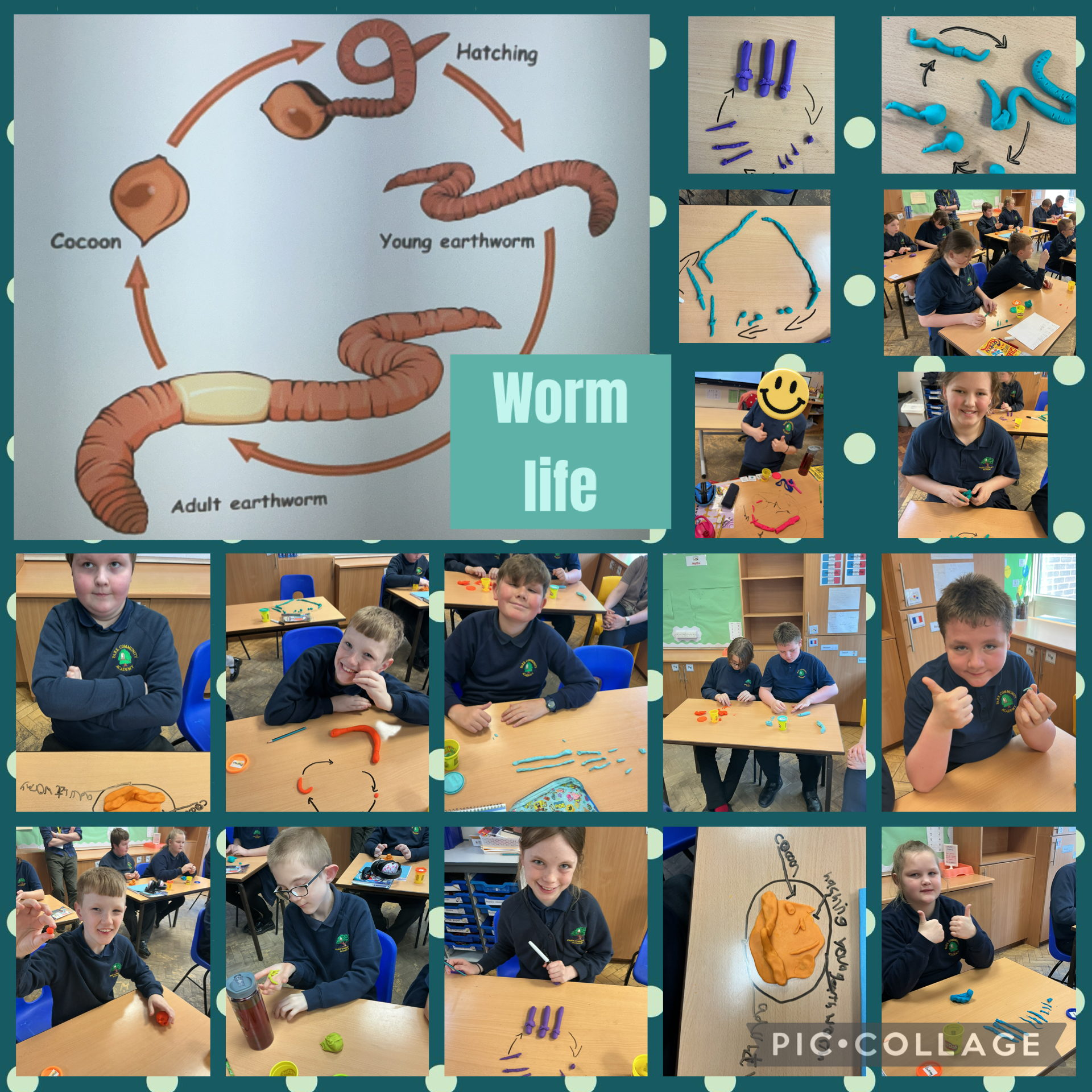 Image of Worm time 