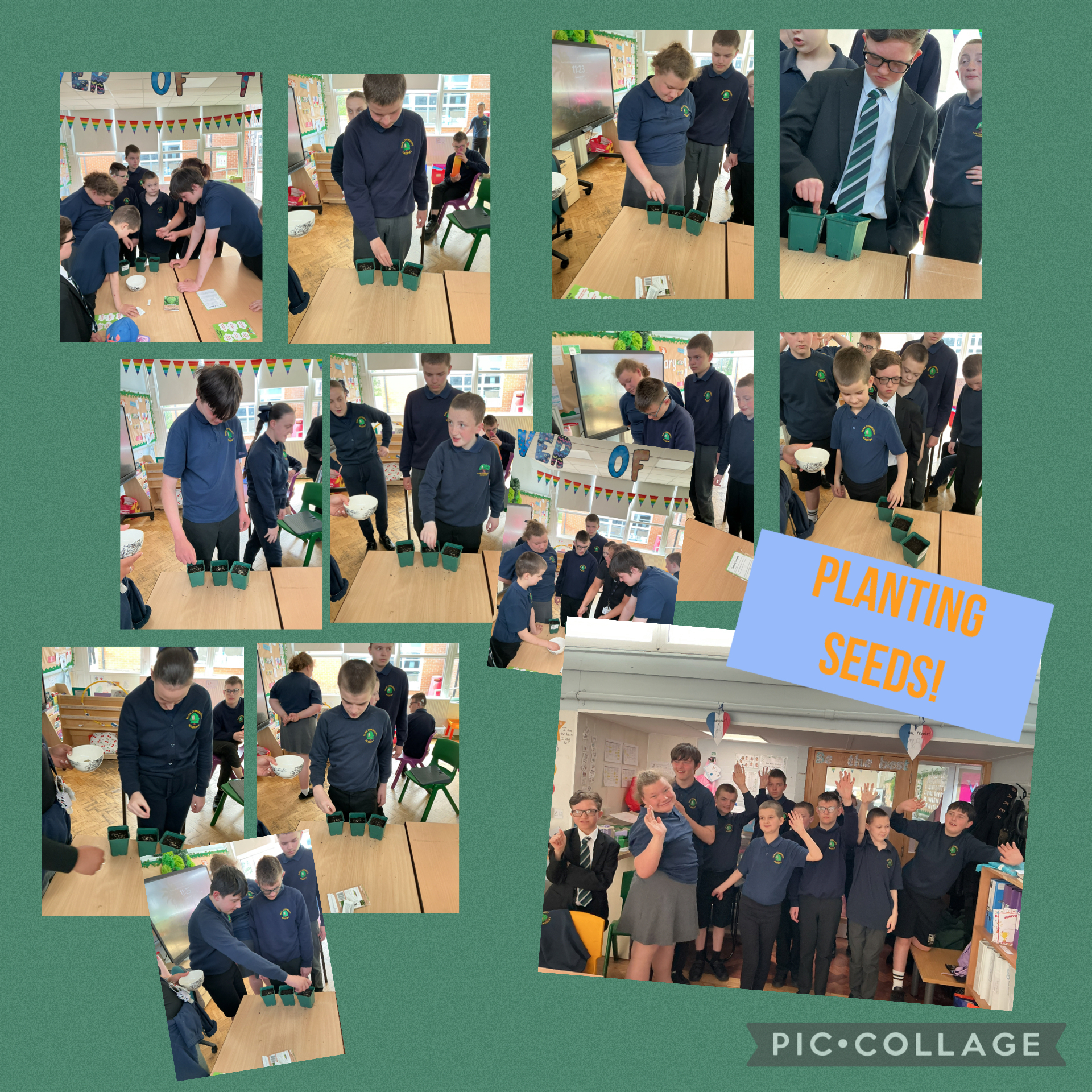 Image of Planting seeds! 