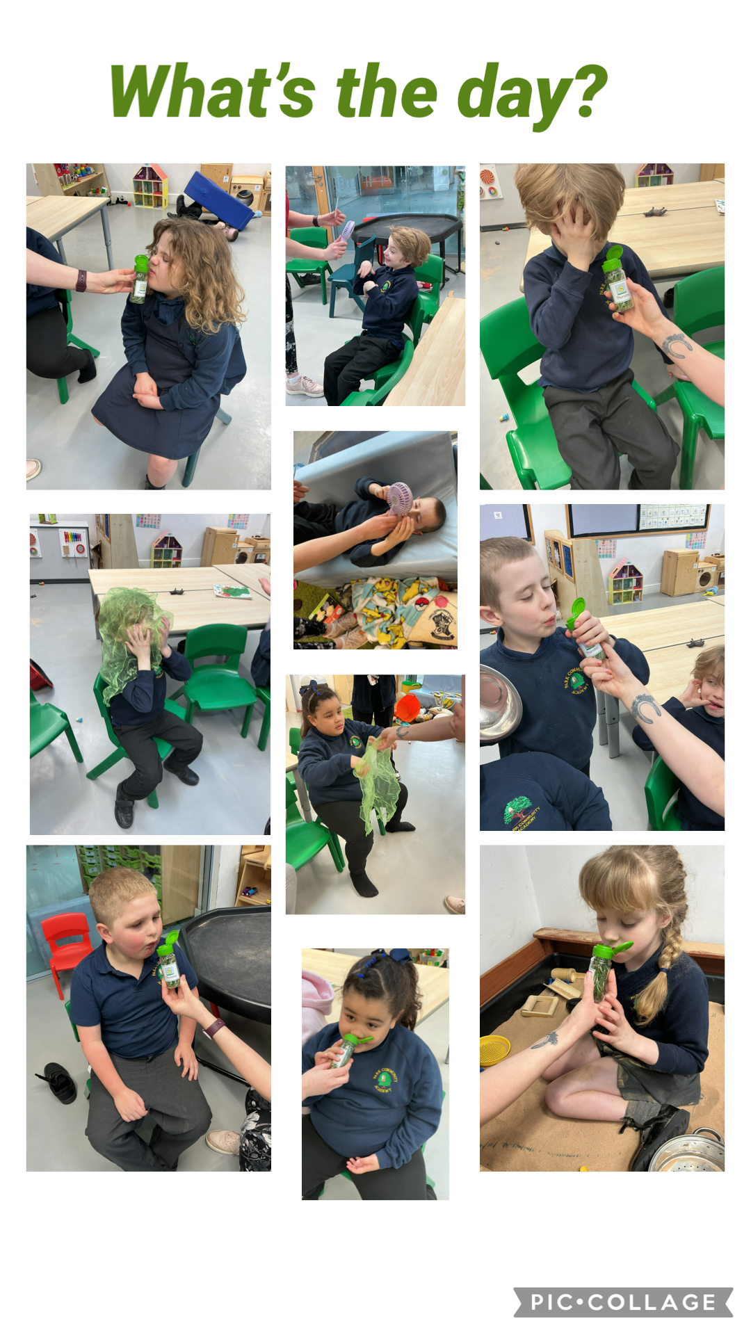 Image of What’s the day?