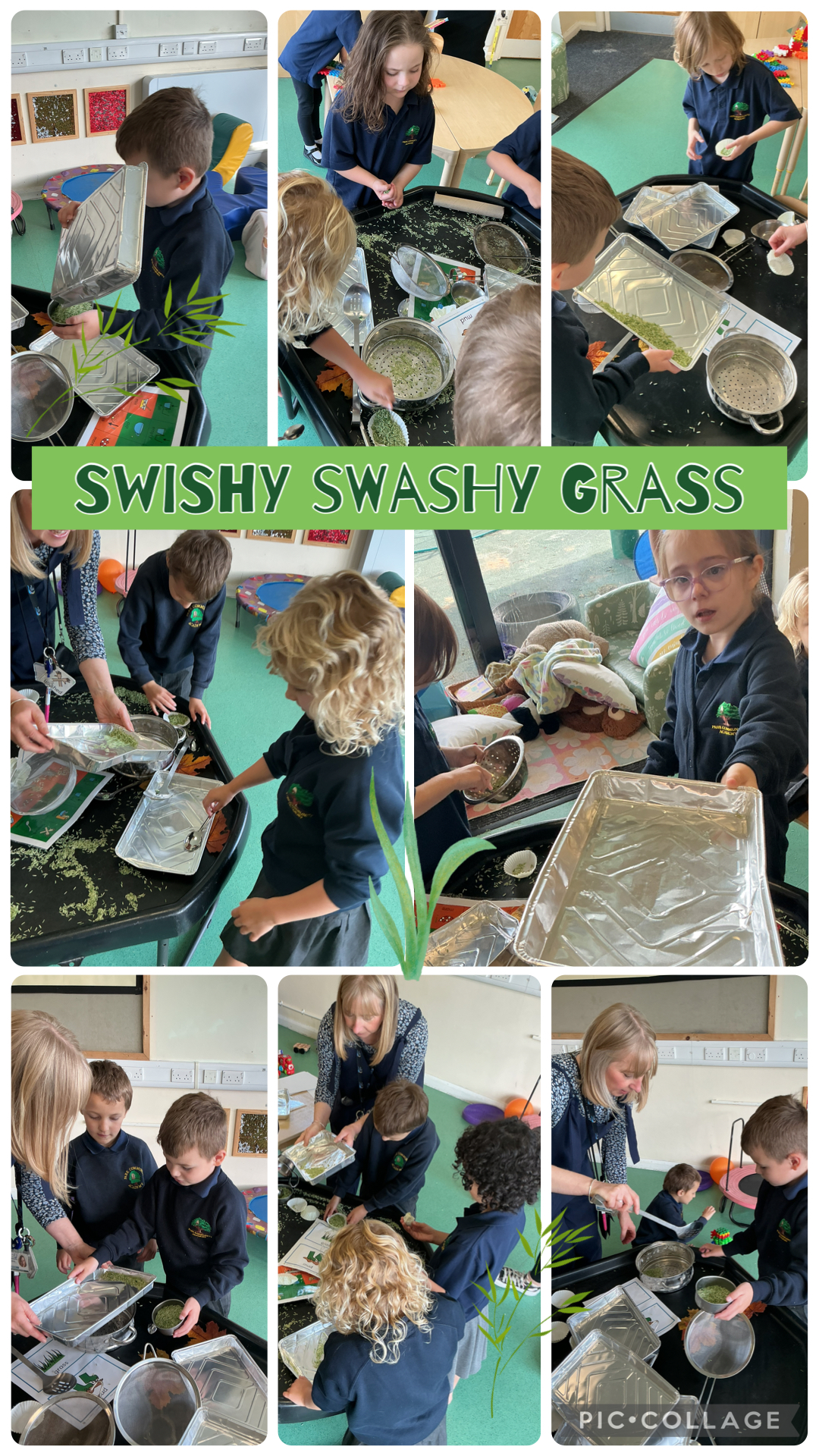 Image of Swishy Swashy Grass