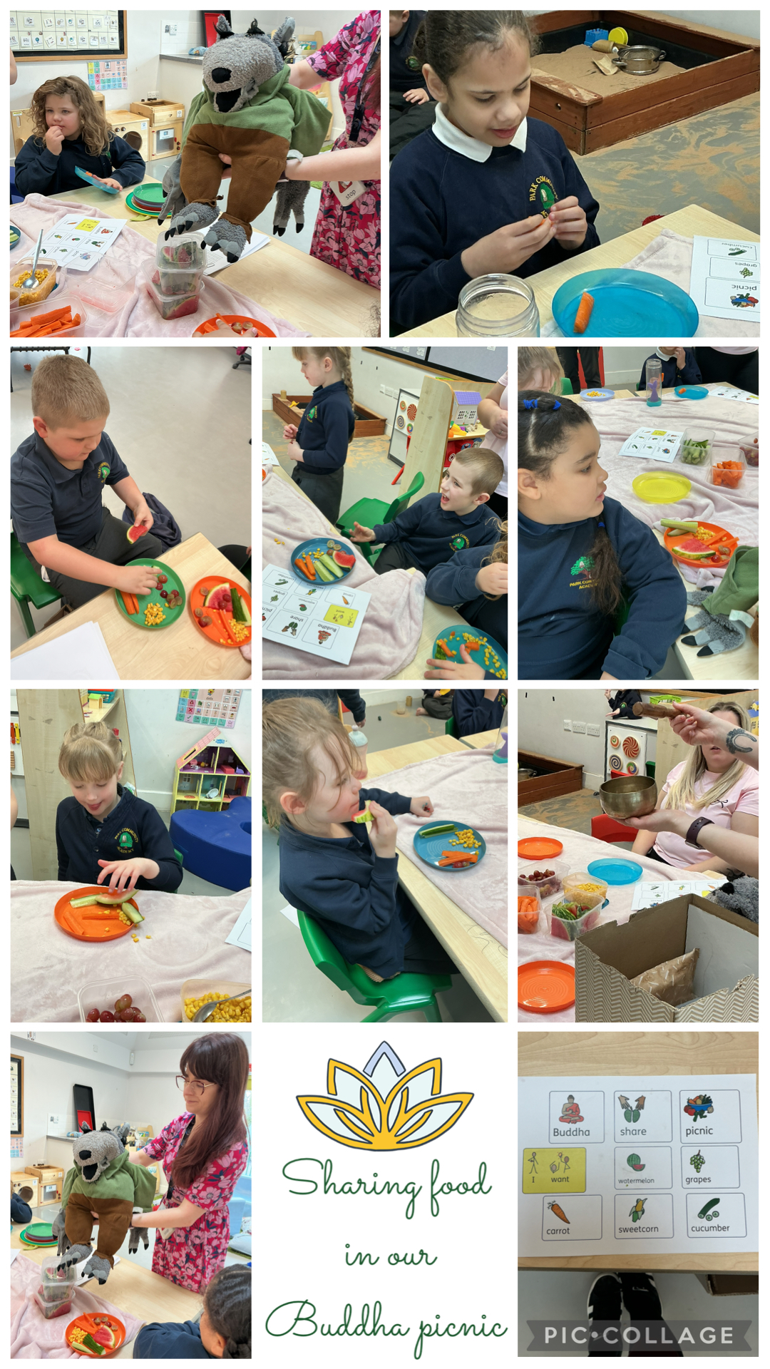 Image of Our Buddha picnic