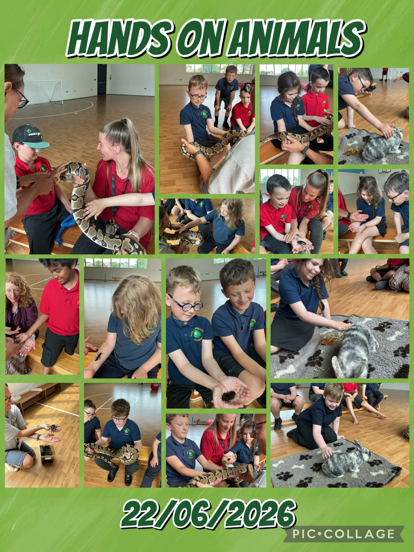 Image of Hands On Animals!