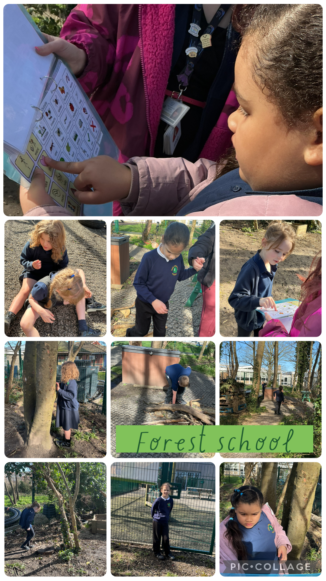 Image of Forest school 