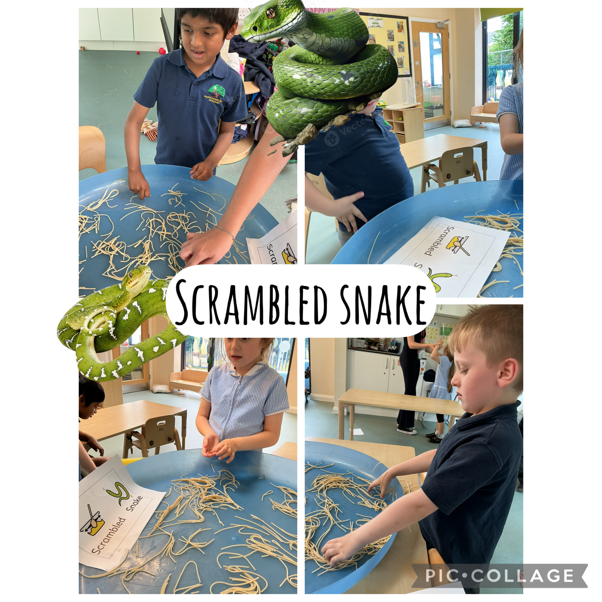 Image of Scrambled snake