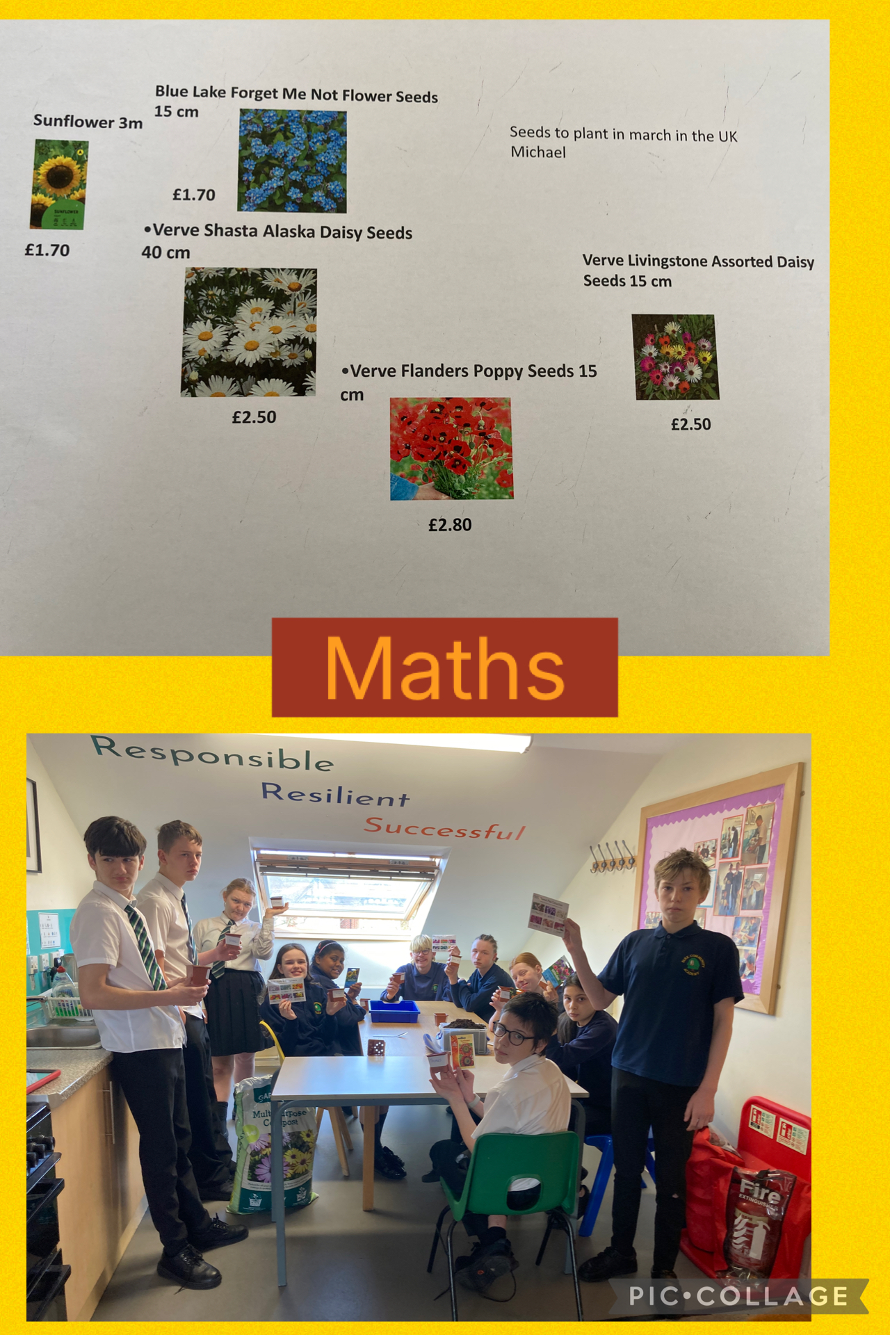 Image of Planting Seeds