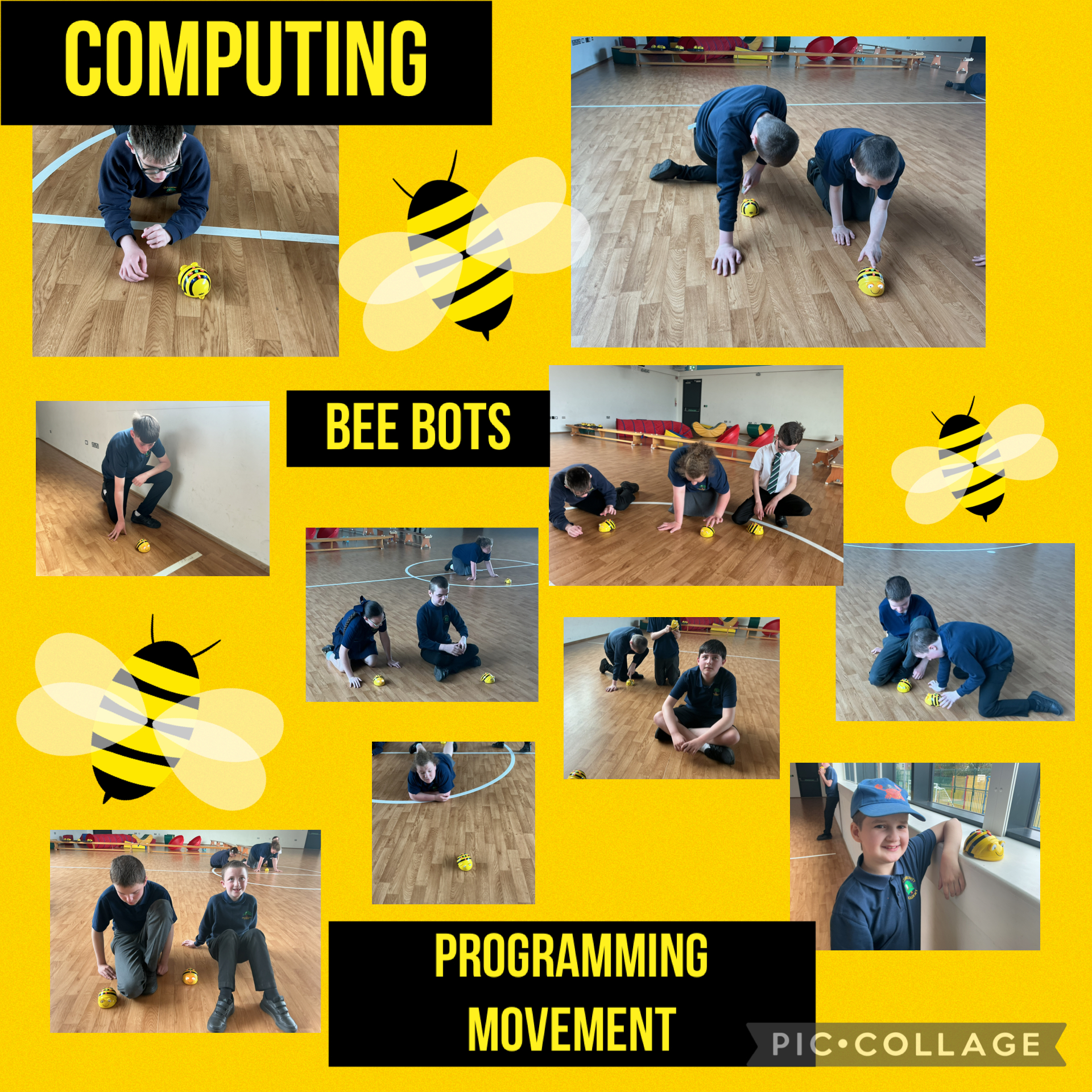 Image of Bee bots