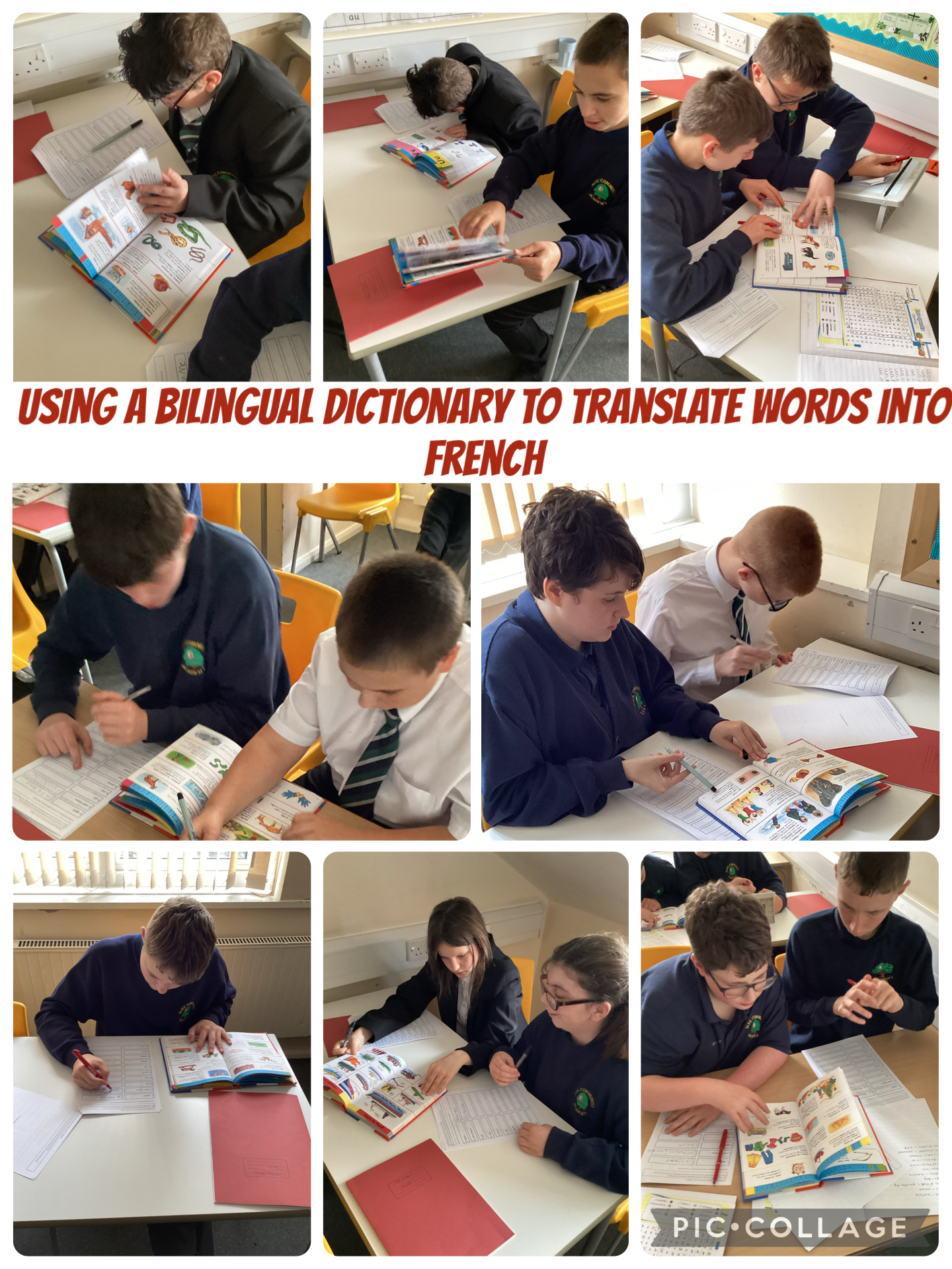 Image of Using Bilingual Dictionaries in French ! 