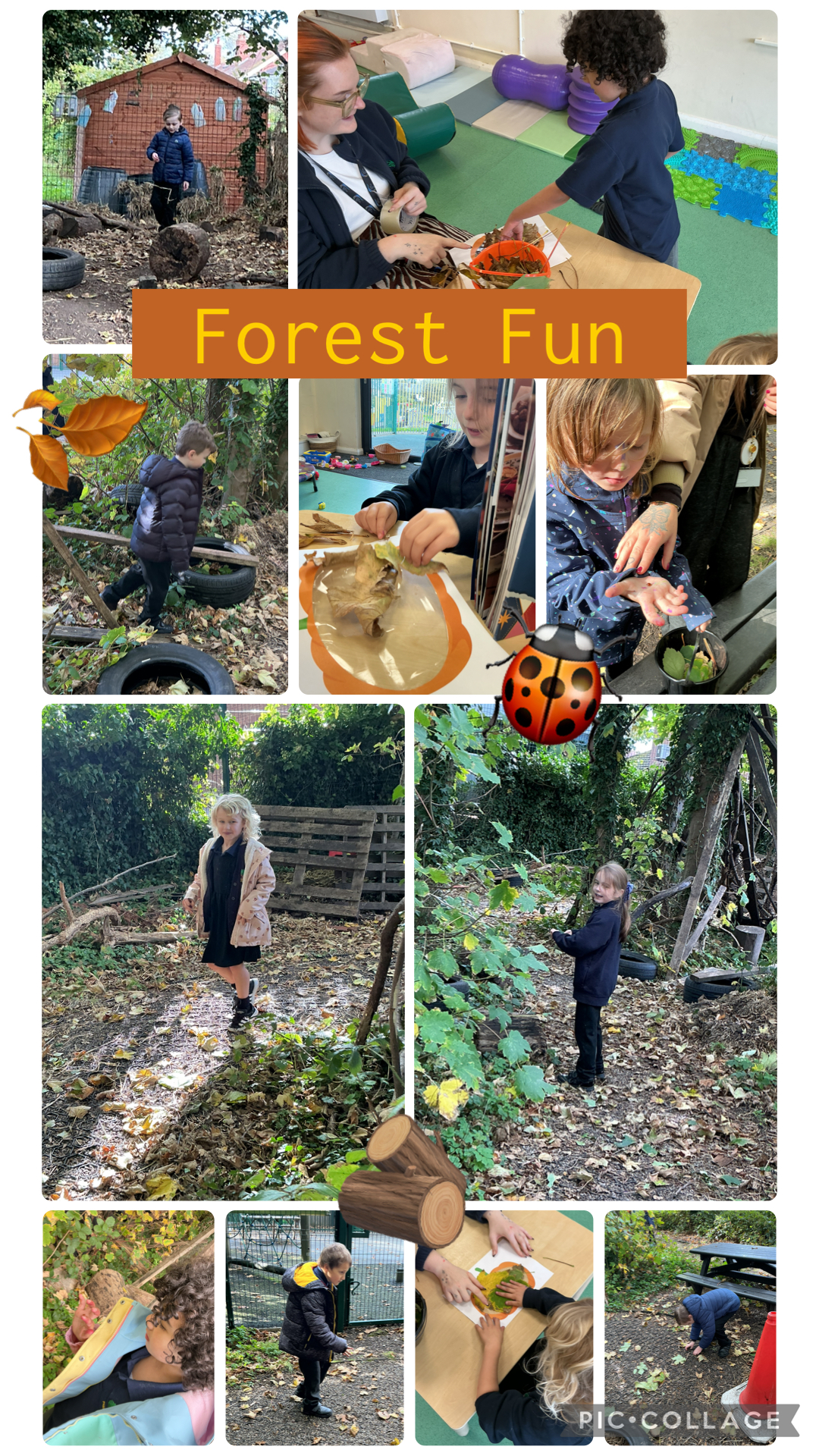 Image of Forest Fun🪵🍂