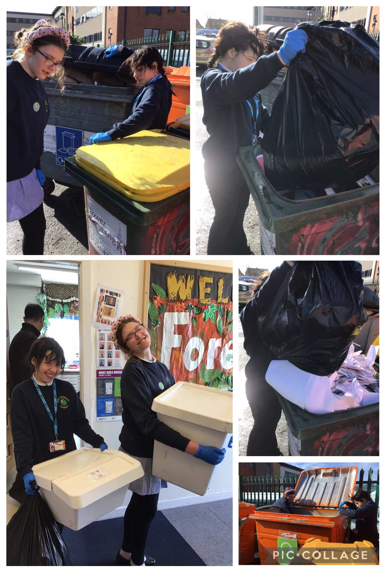 Image of Echo warrior