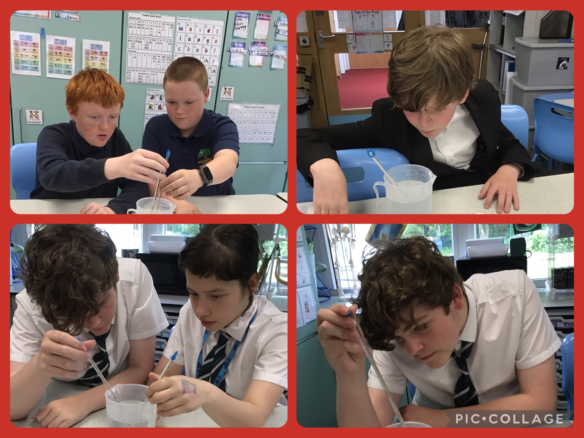 Image of Science experiment 