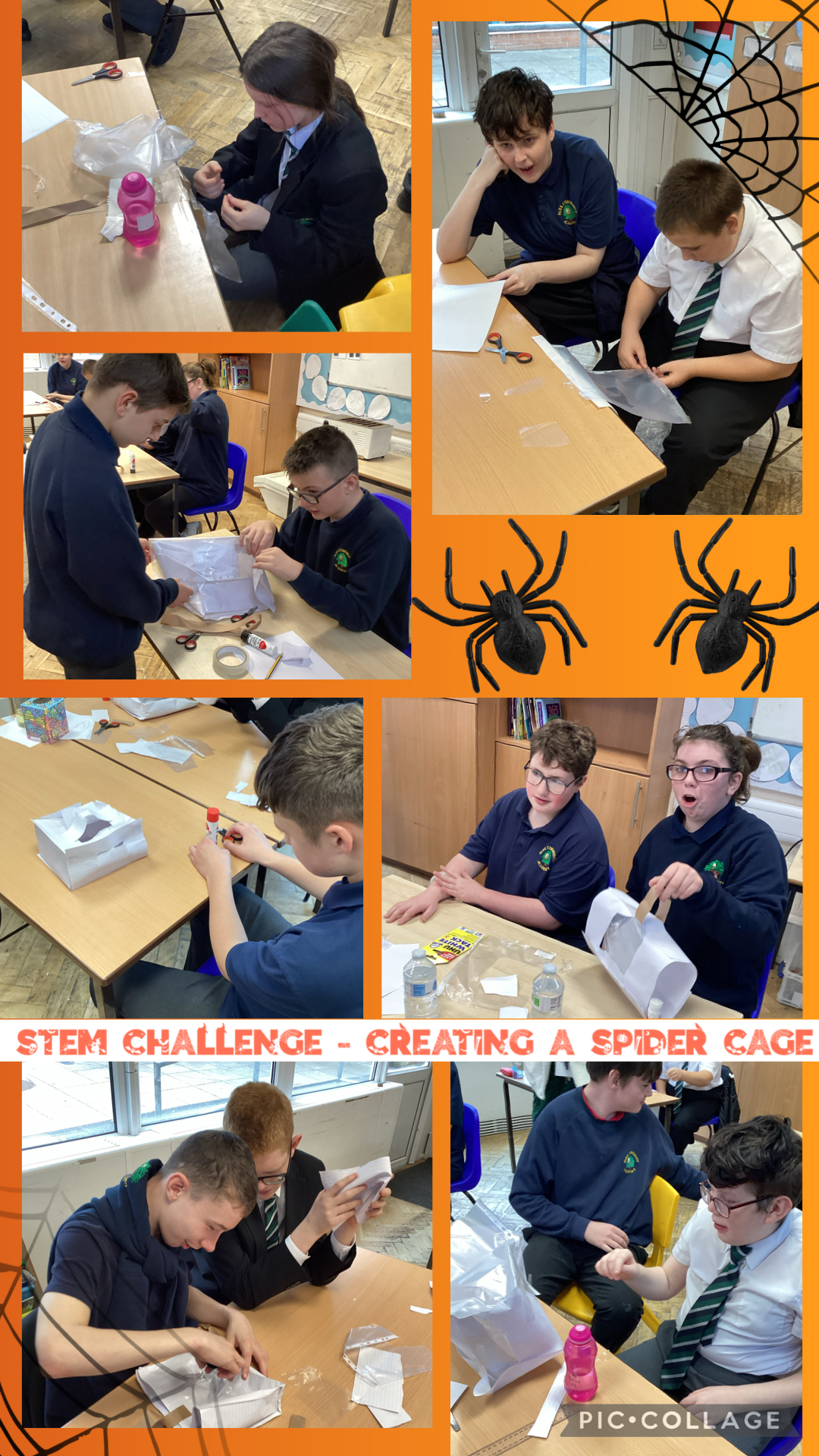 Image of Building Spider cages 
