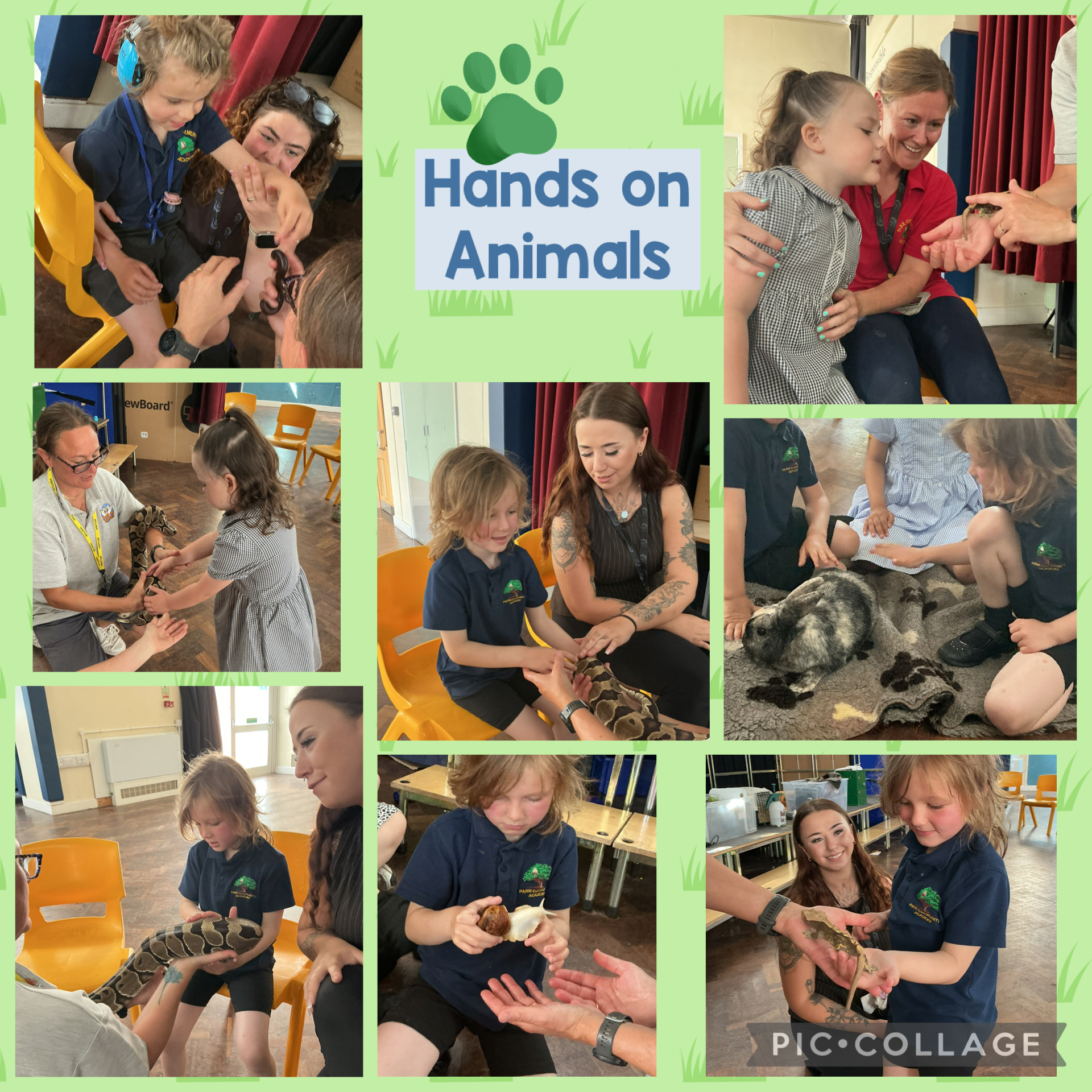 Image of Hands on Animals