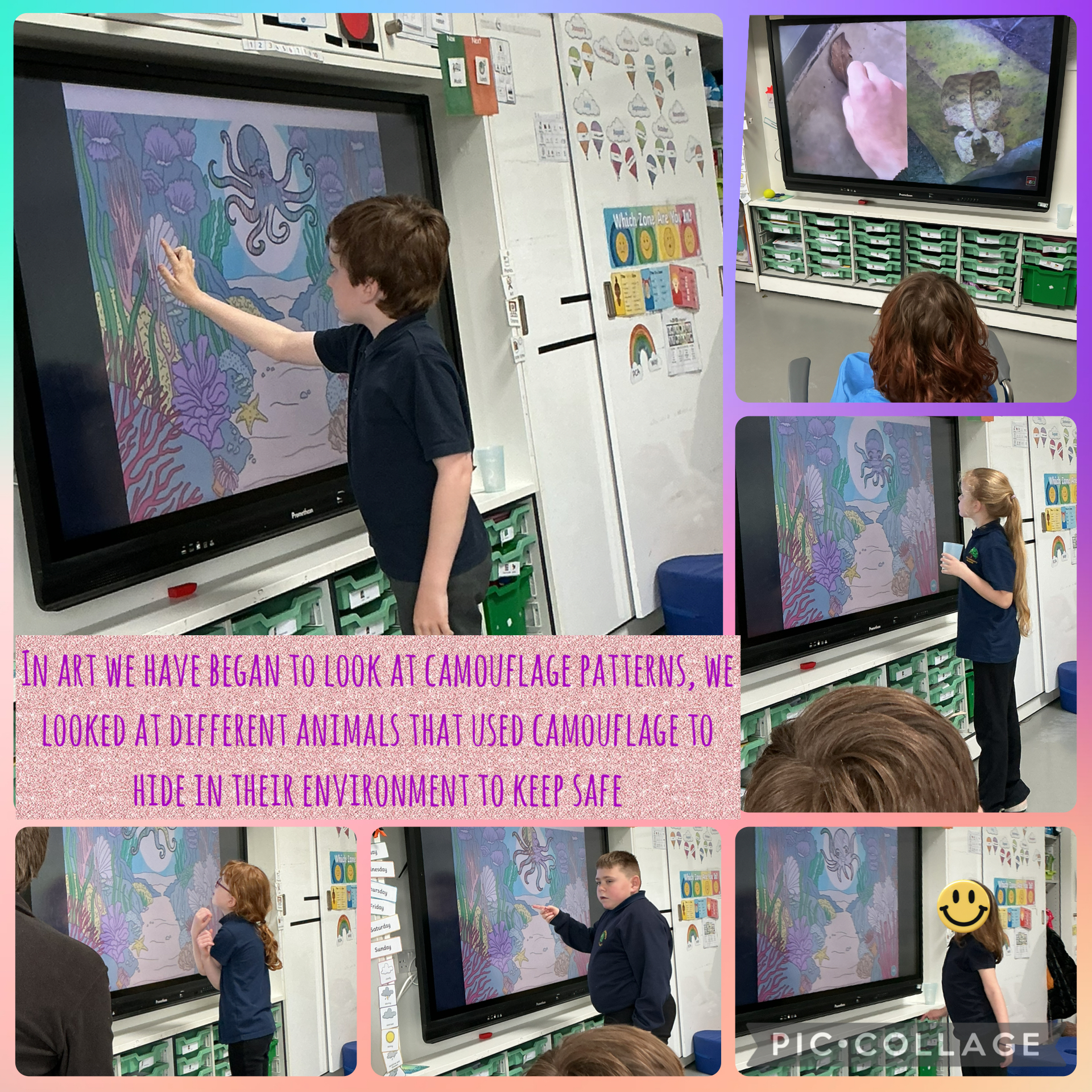 Image of Camouflage patterns 